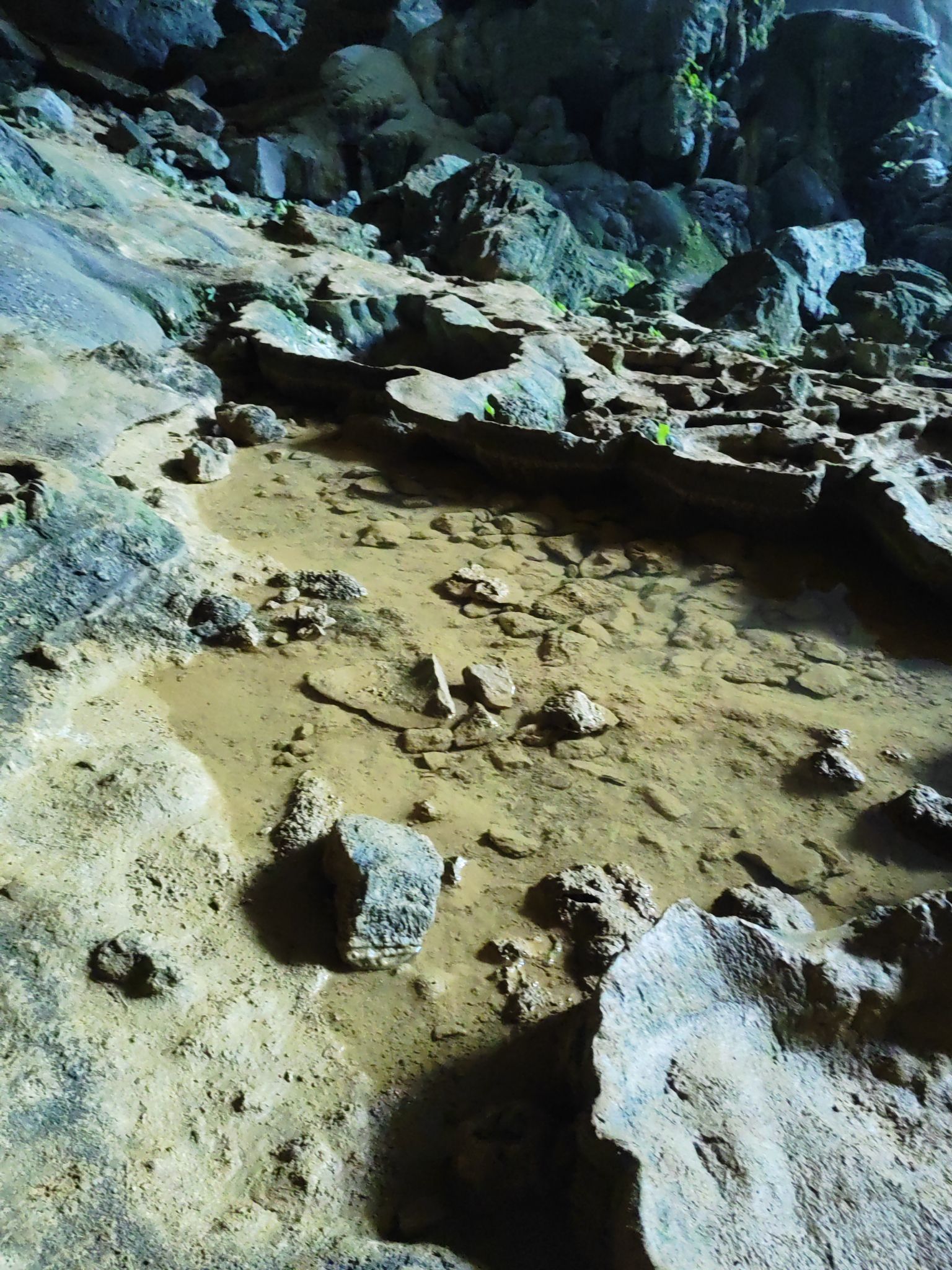 弄响天坑旅行图片 3