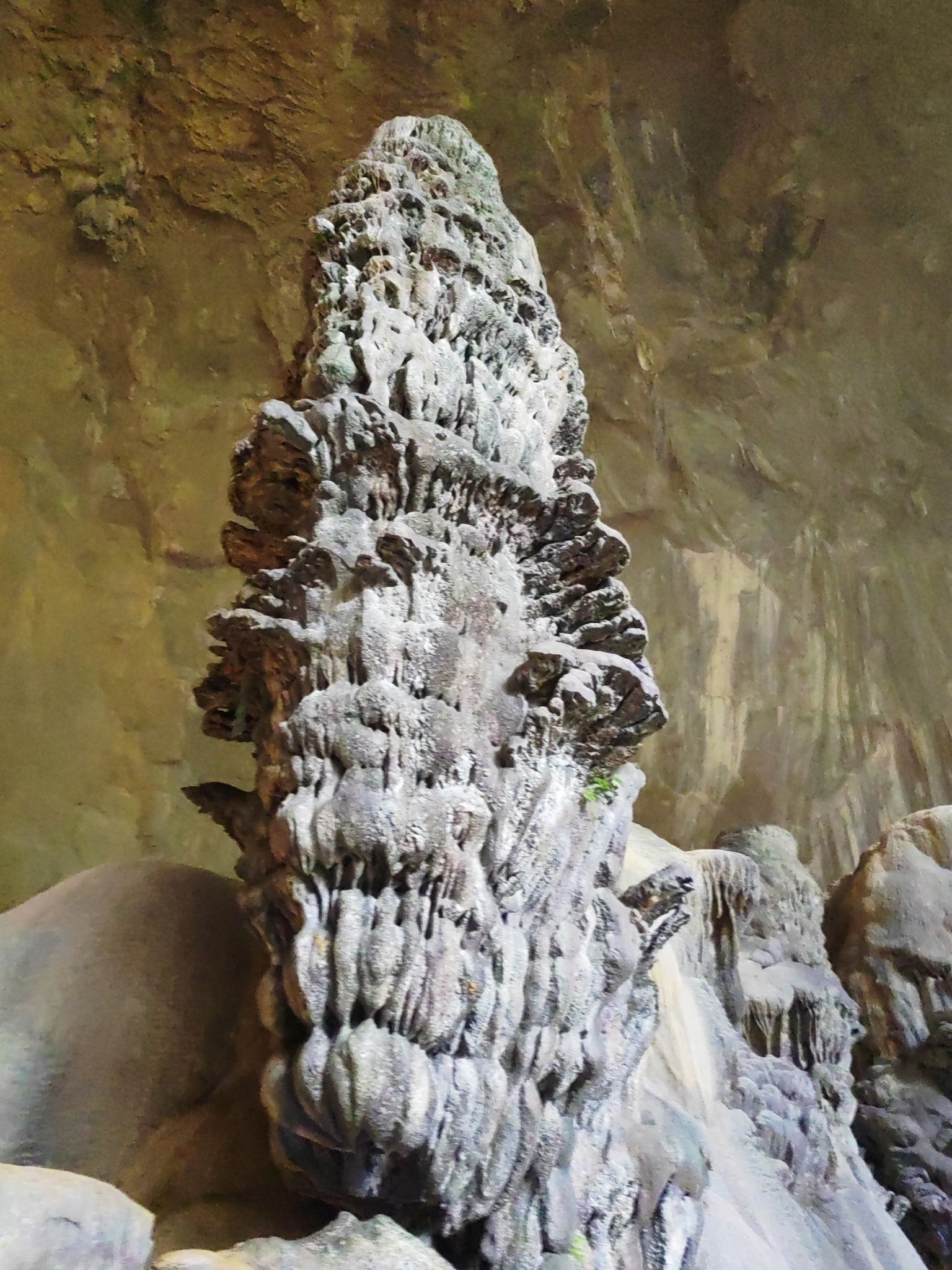 弄响天坑旅行图片 2
