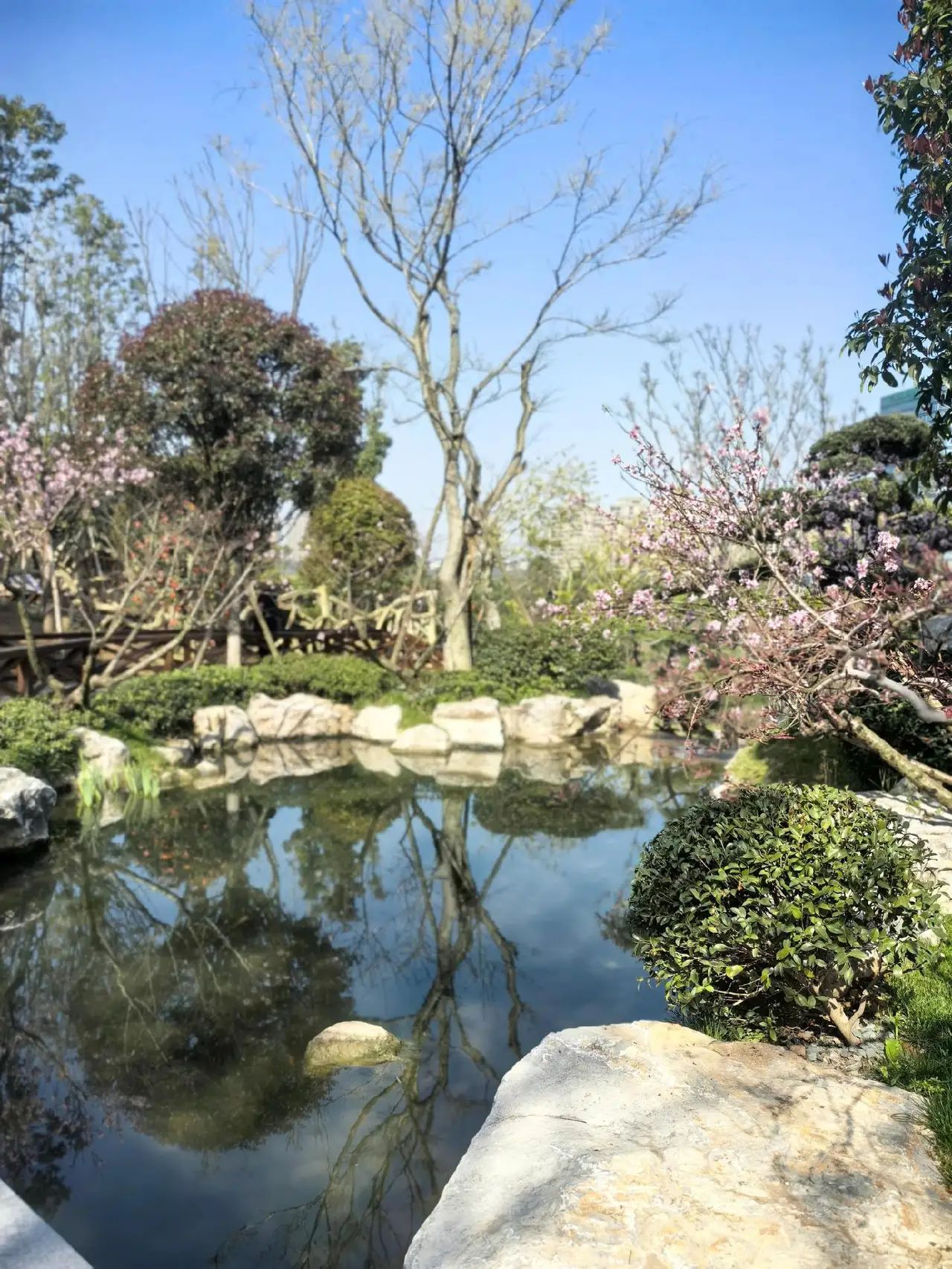 珍珠岩风景区(暂停开放)旅行图片 3