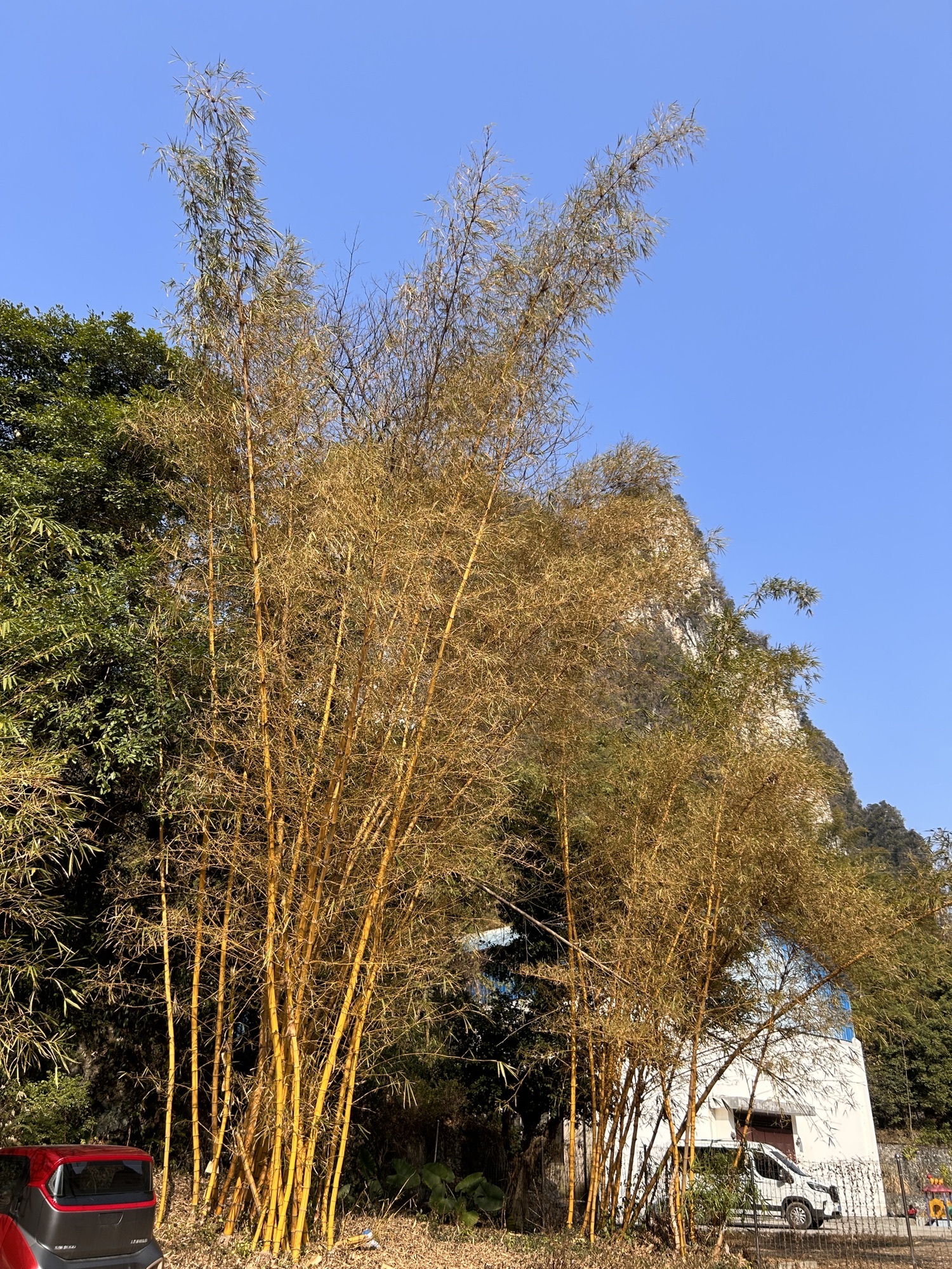 河池小三峡景区旅行图片 2