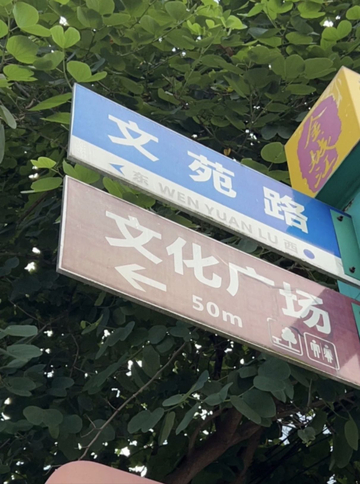 文化广场旅行图片 2