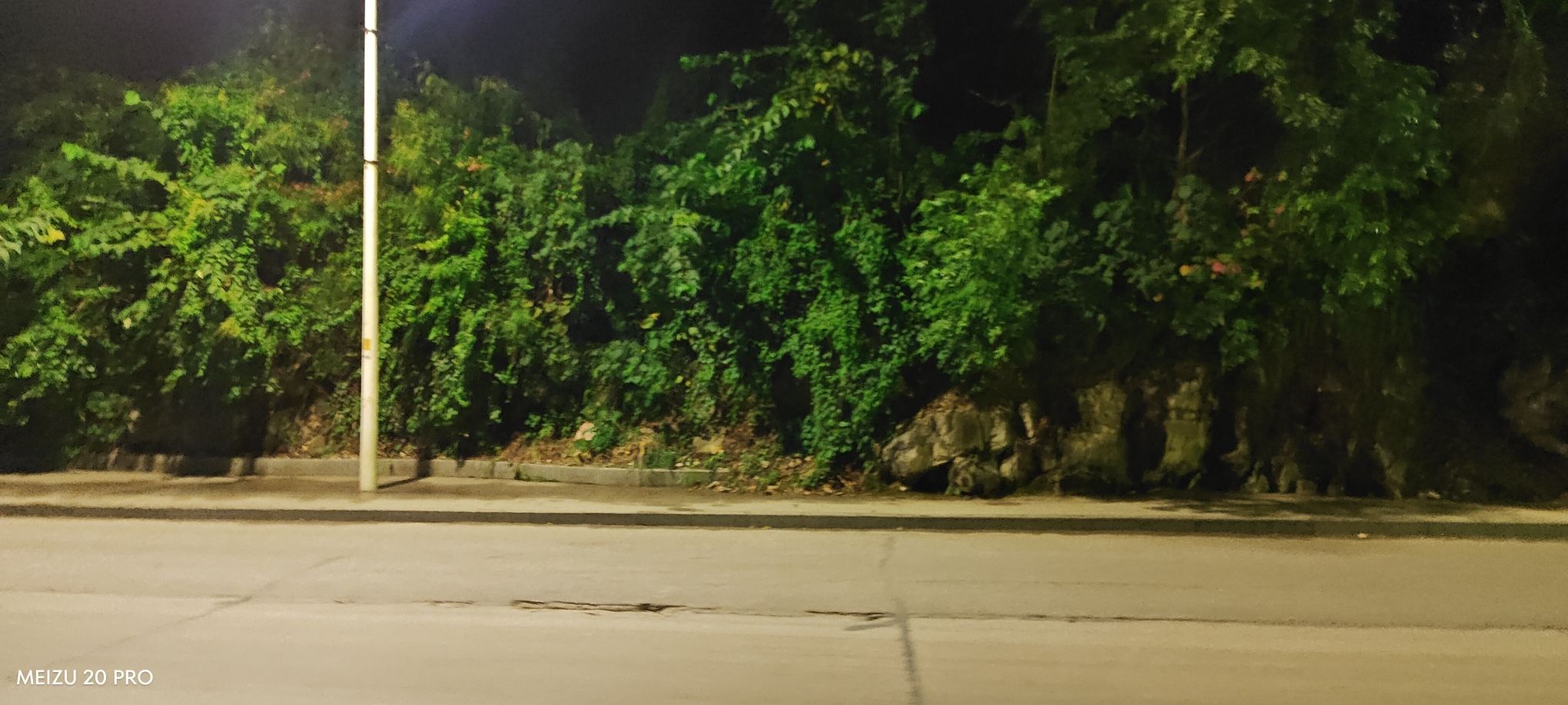 金城公园旅行图片 1