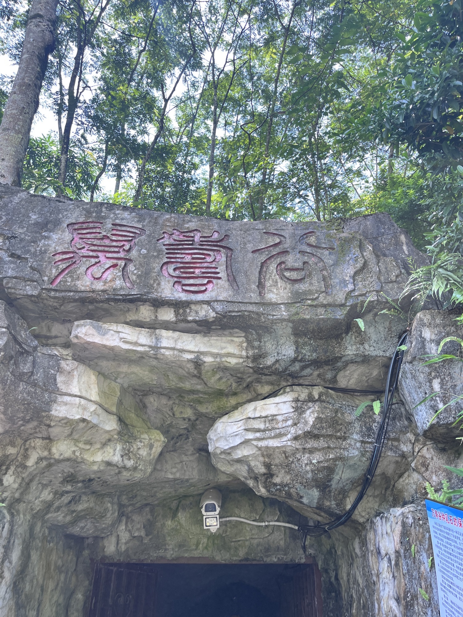 凤山万寿谷旅行图片 2