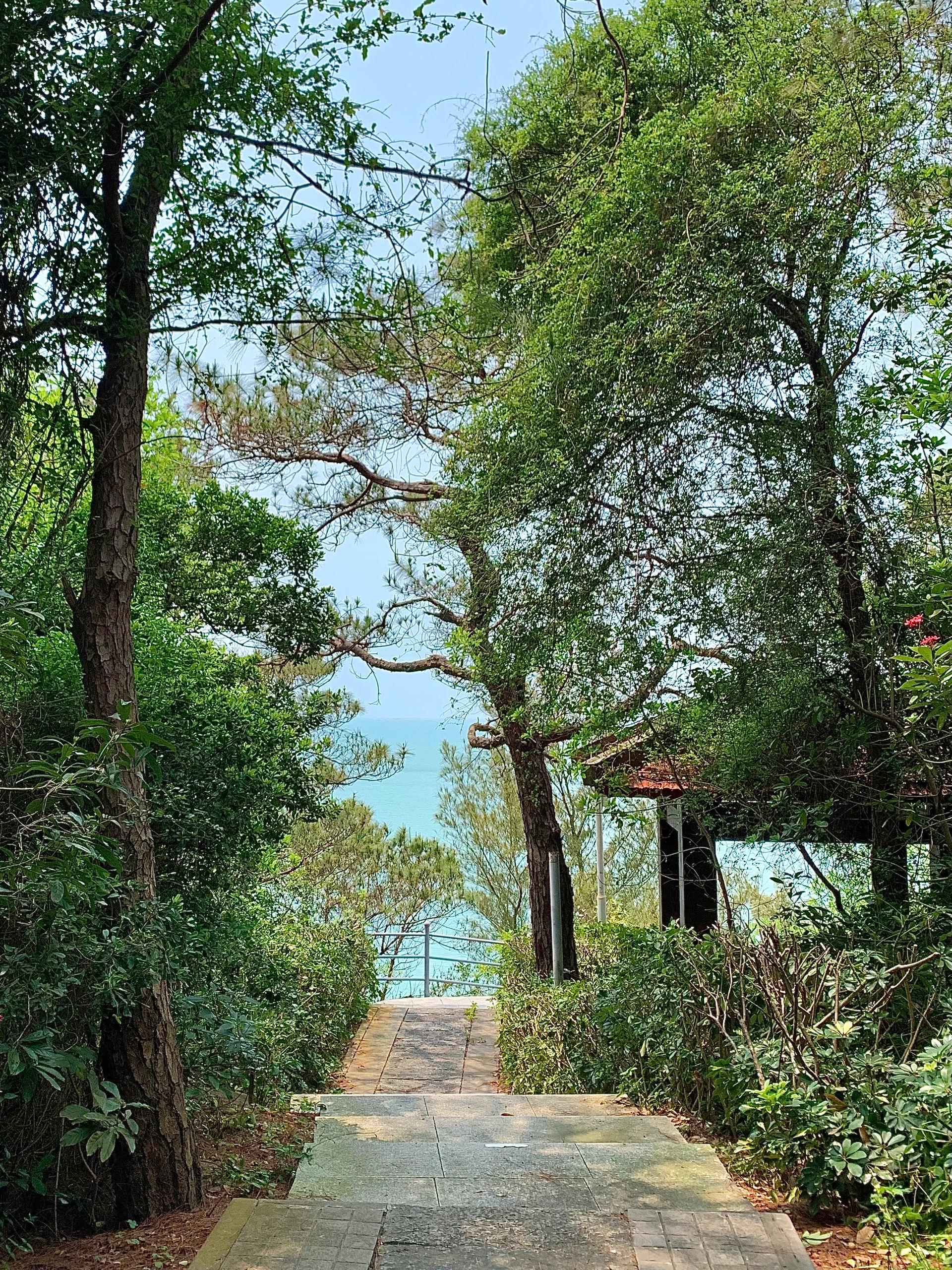 广西冠头岭国家森林公园旅行图片 1