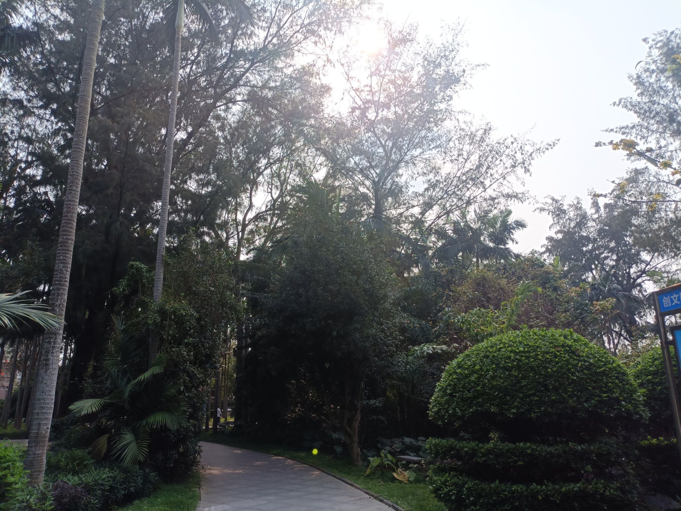 海滨公园旅行图片 3
