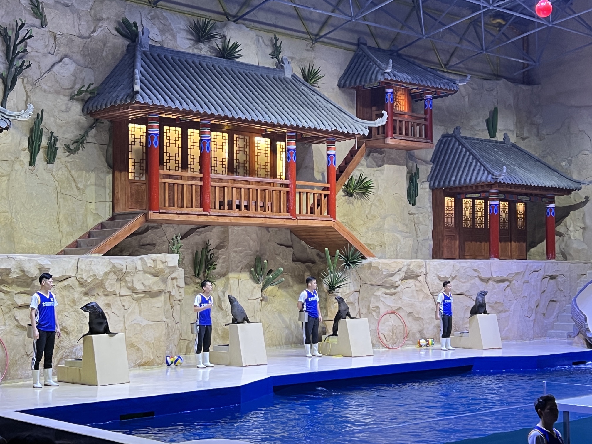 海滨公园旅行图片 2