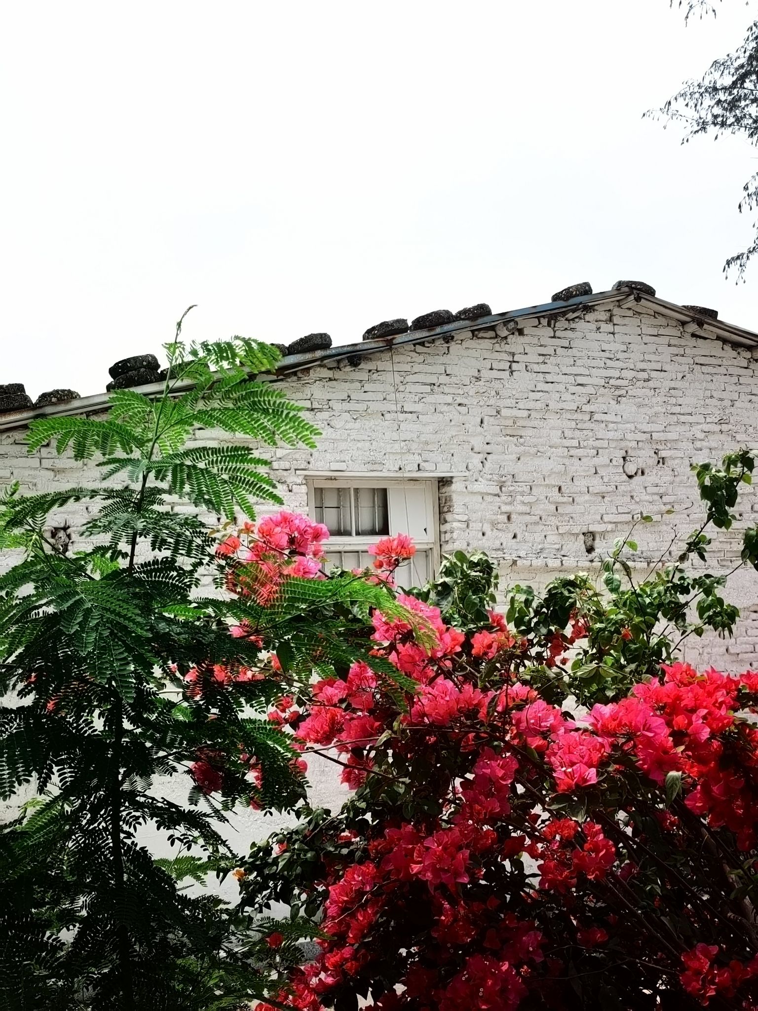 海滨公园旅行图片 2