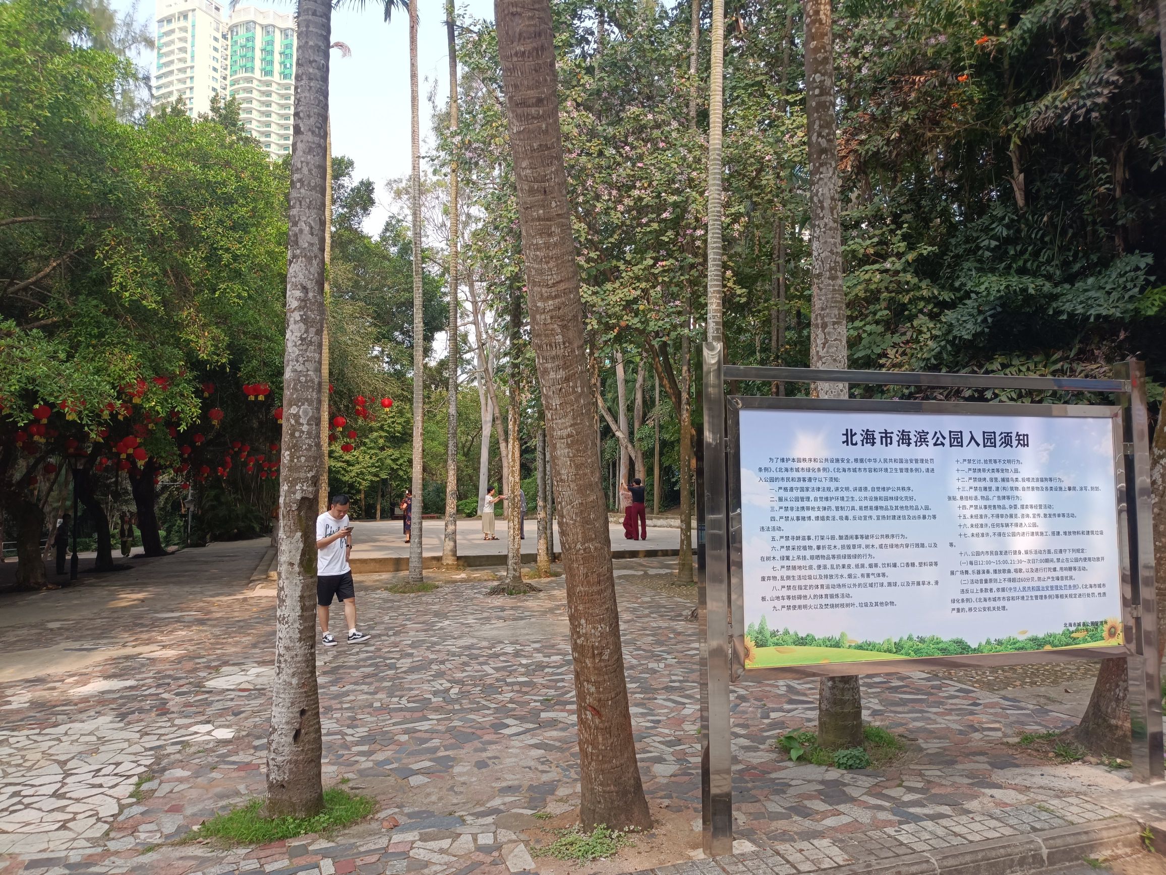 海滨公园旅行图片 1