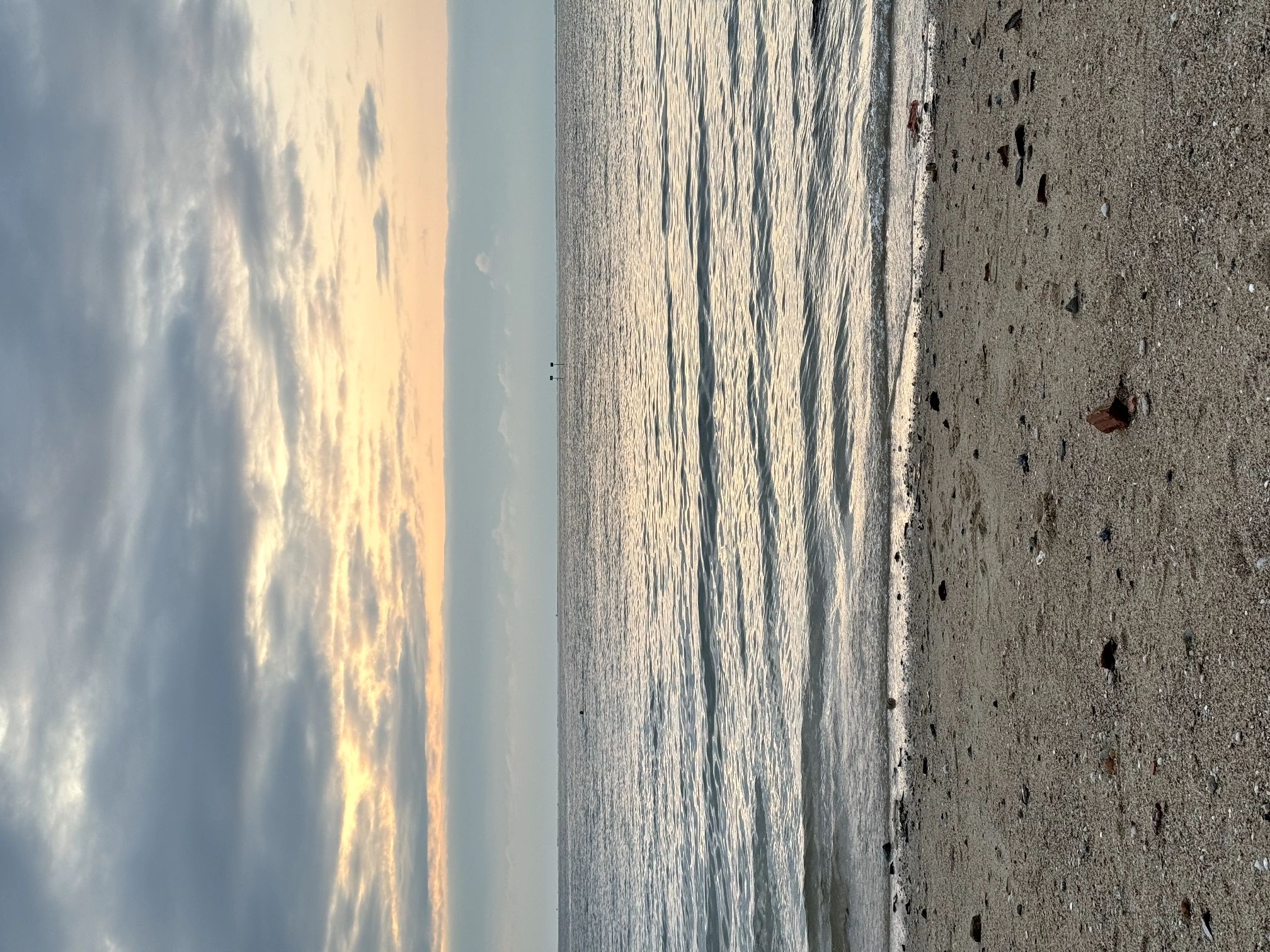 海滨公园旅行图片 3