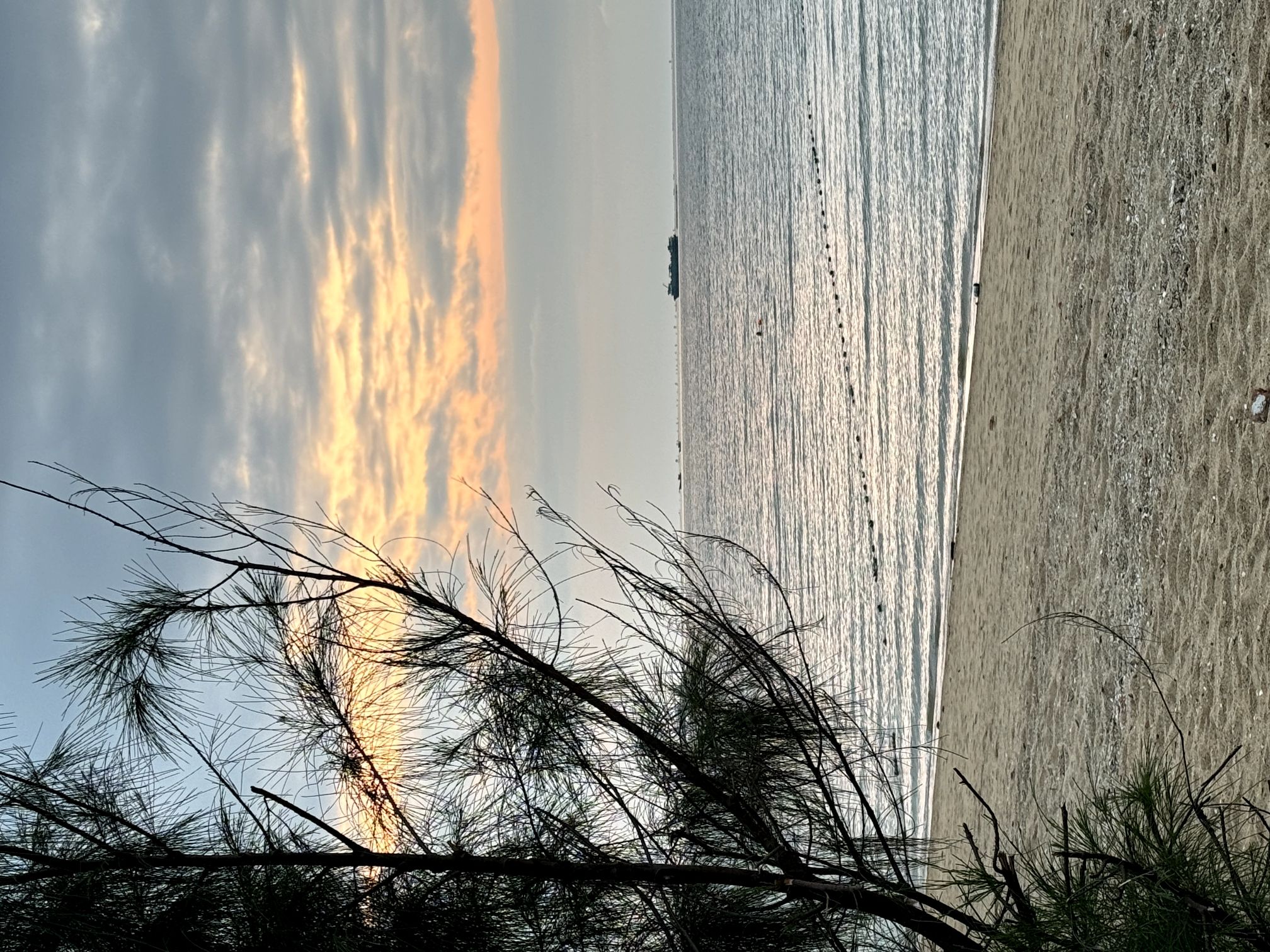 海滨公园旅行图片 1