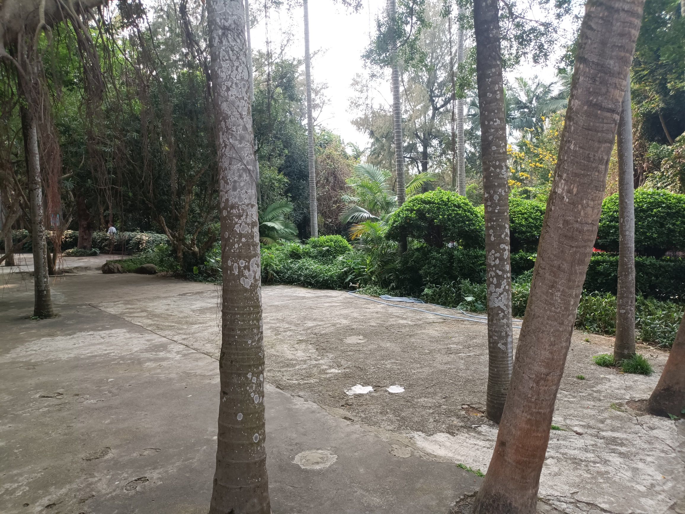 海滨公园旅行图片 2
