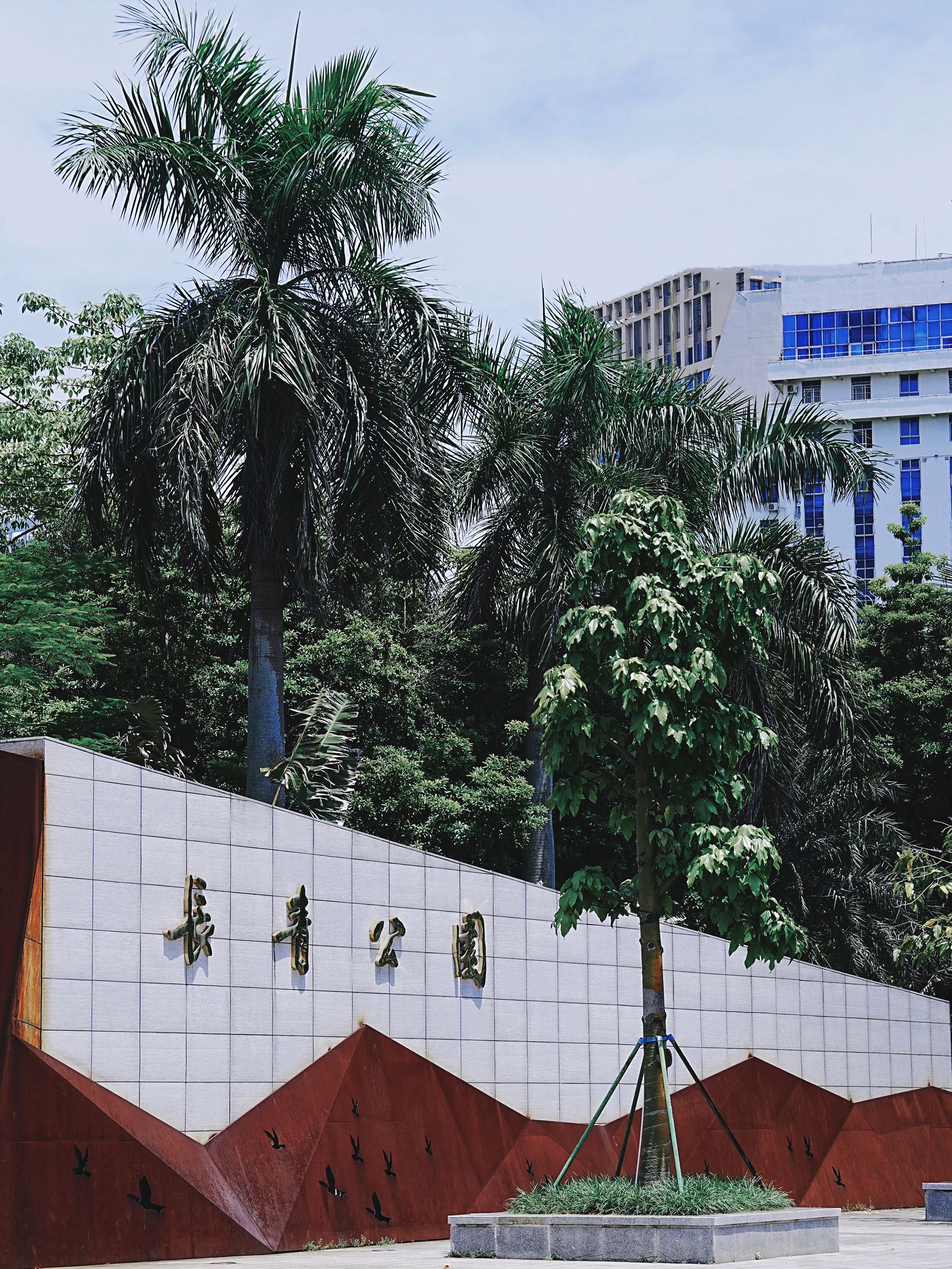 长青公园旅行图片 2