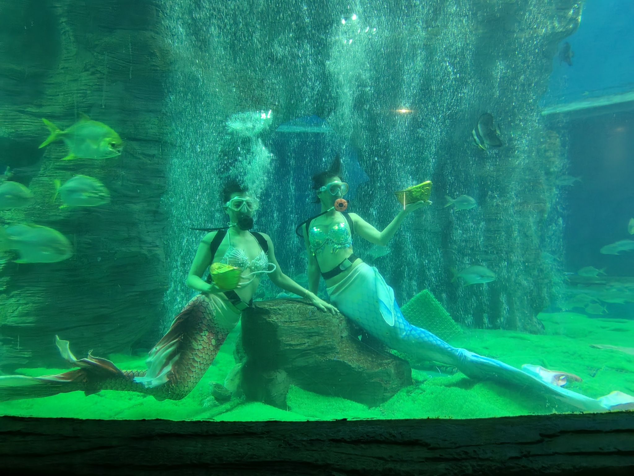 北海·海洋之窗旅行图片 3