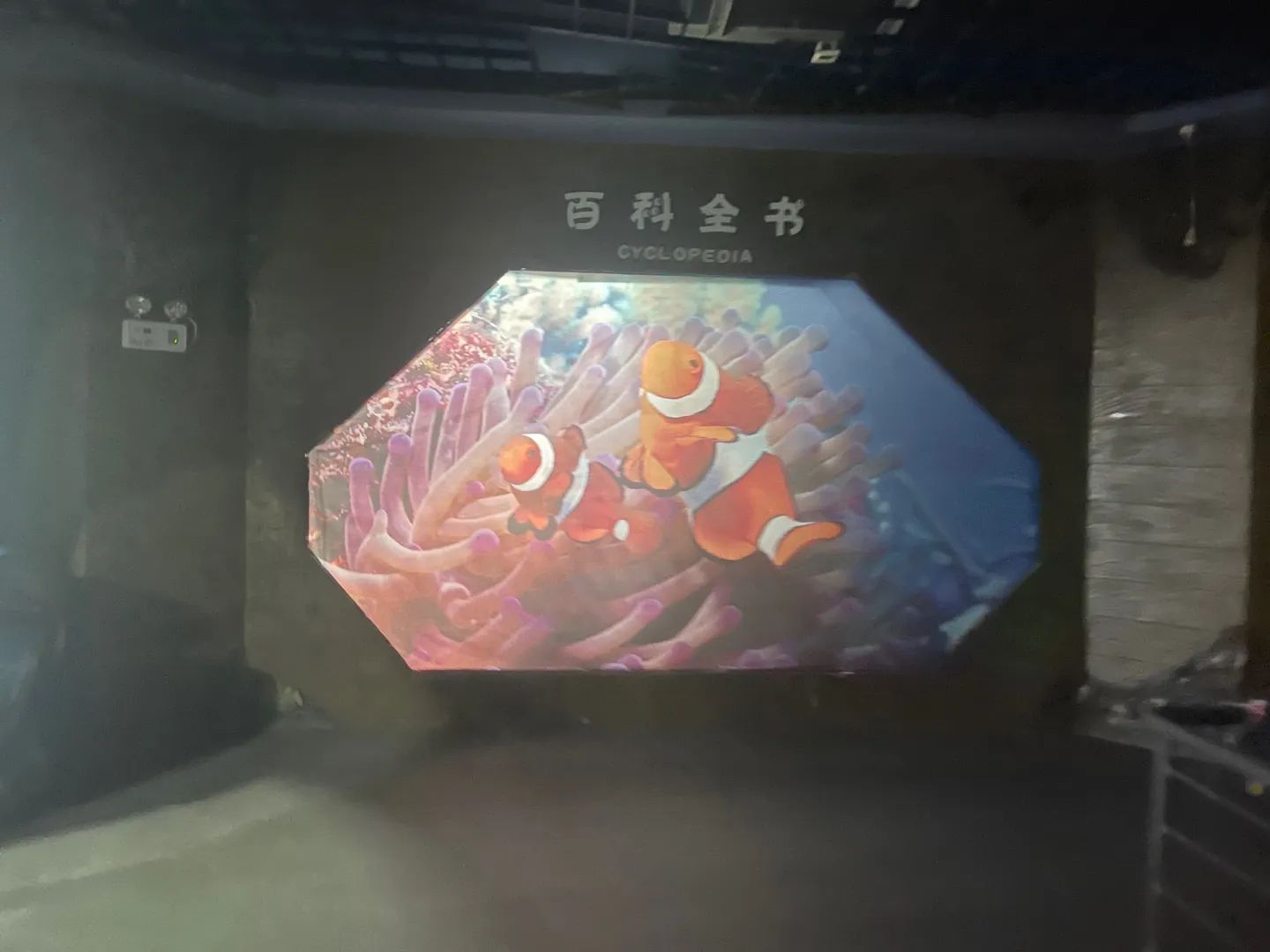 北海·海洋之窗旅行图片 3