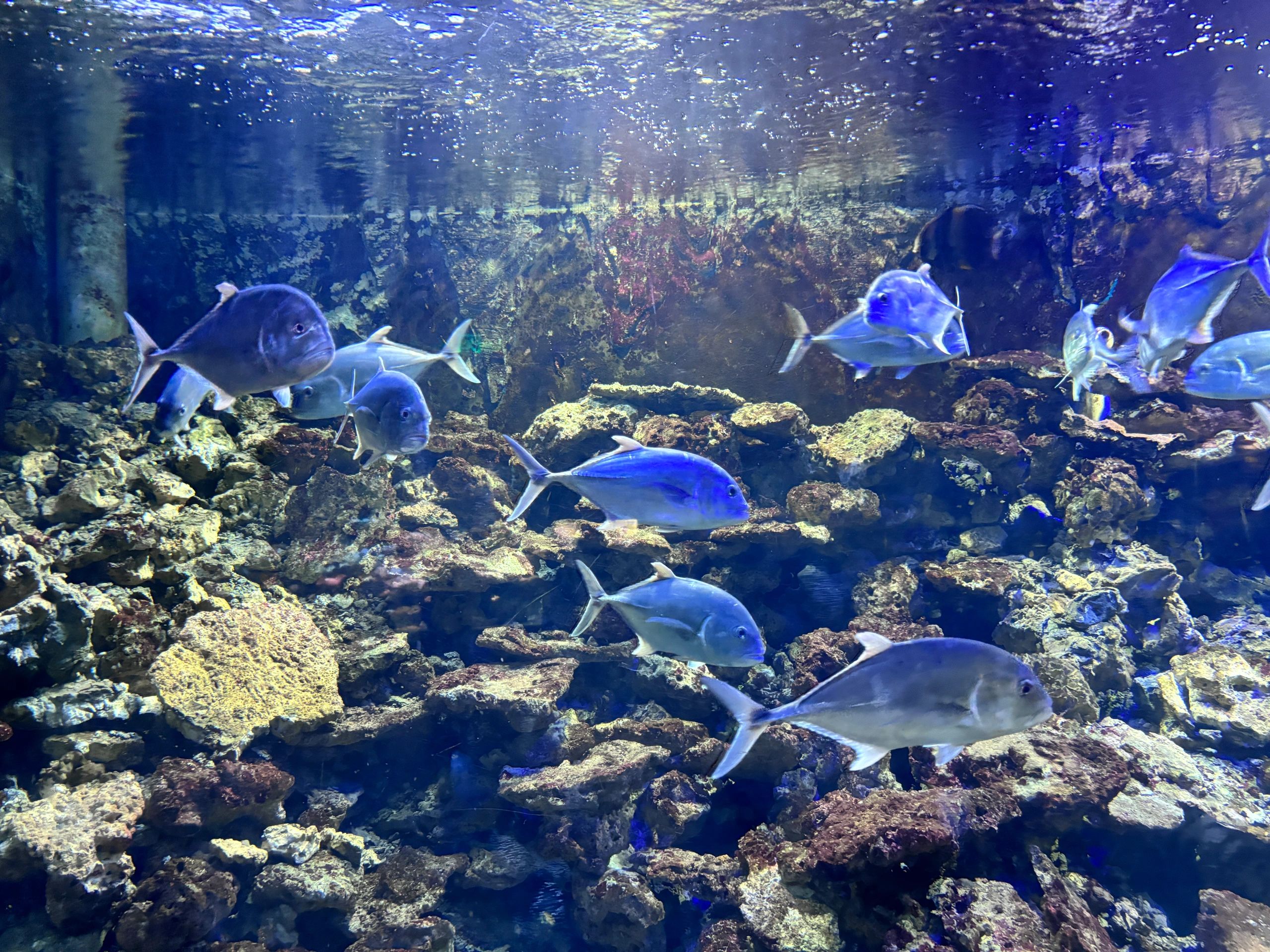 北海·海洋之窗旅行图片 1