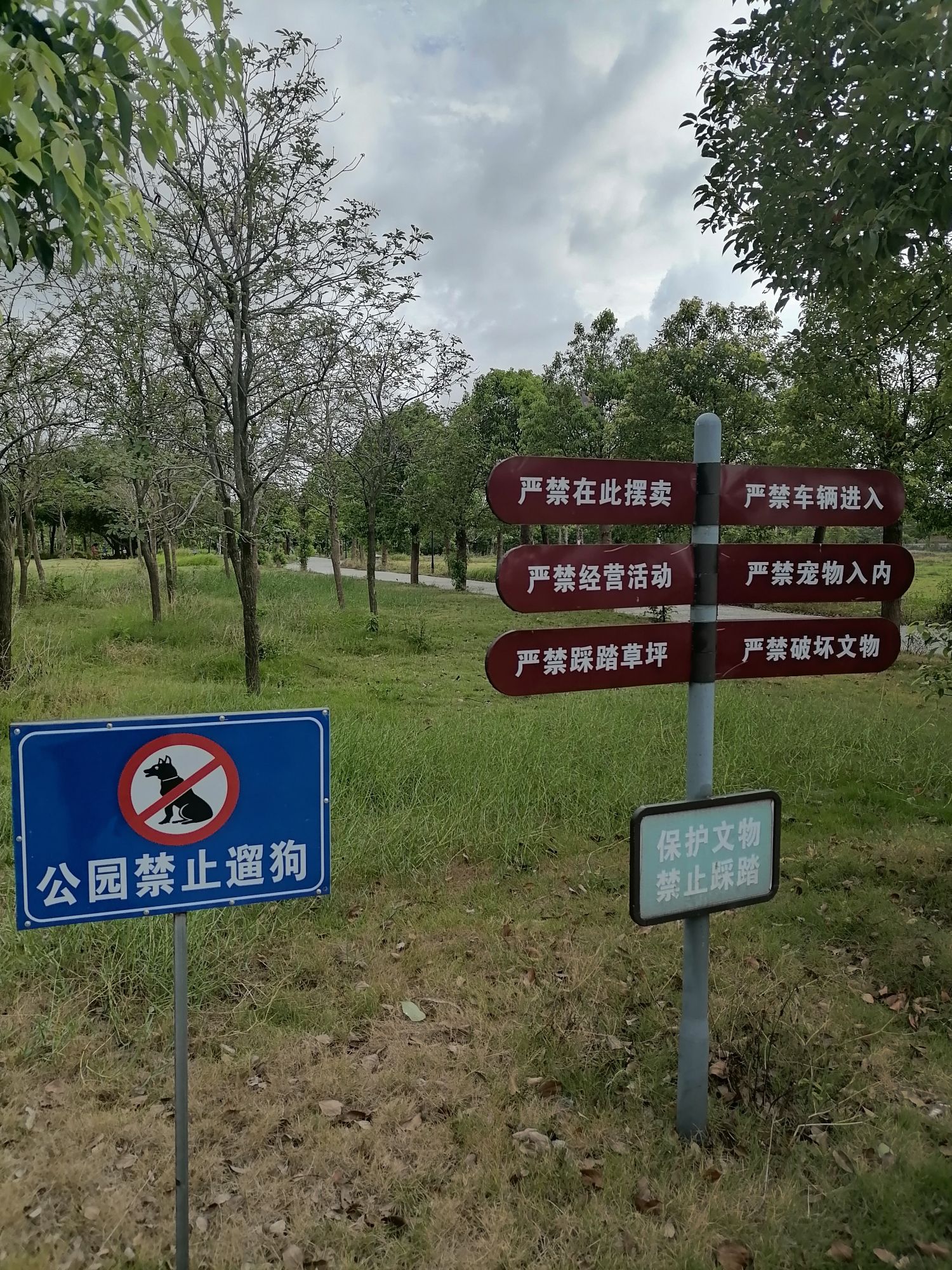 文昌塔景区旅行图片 3