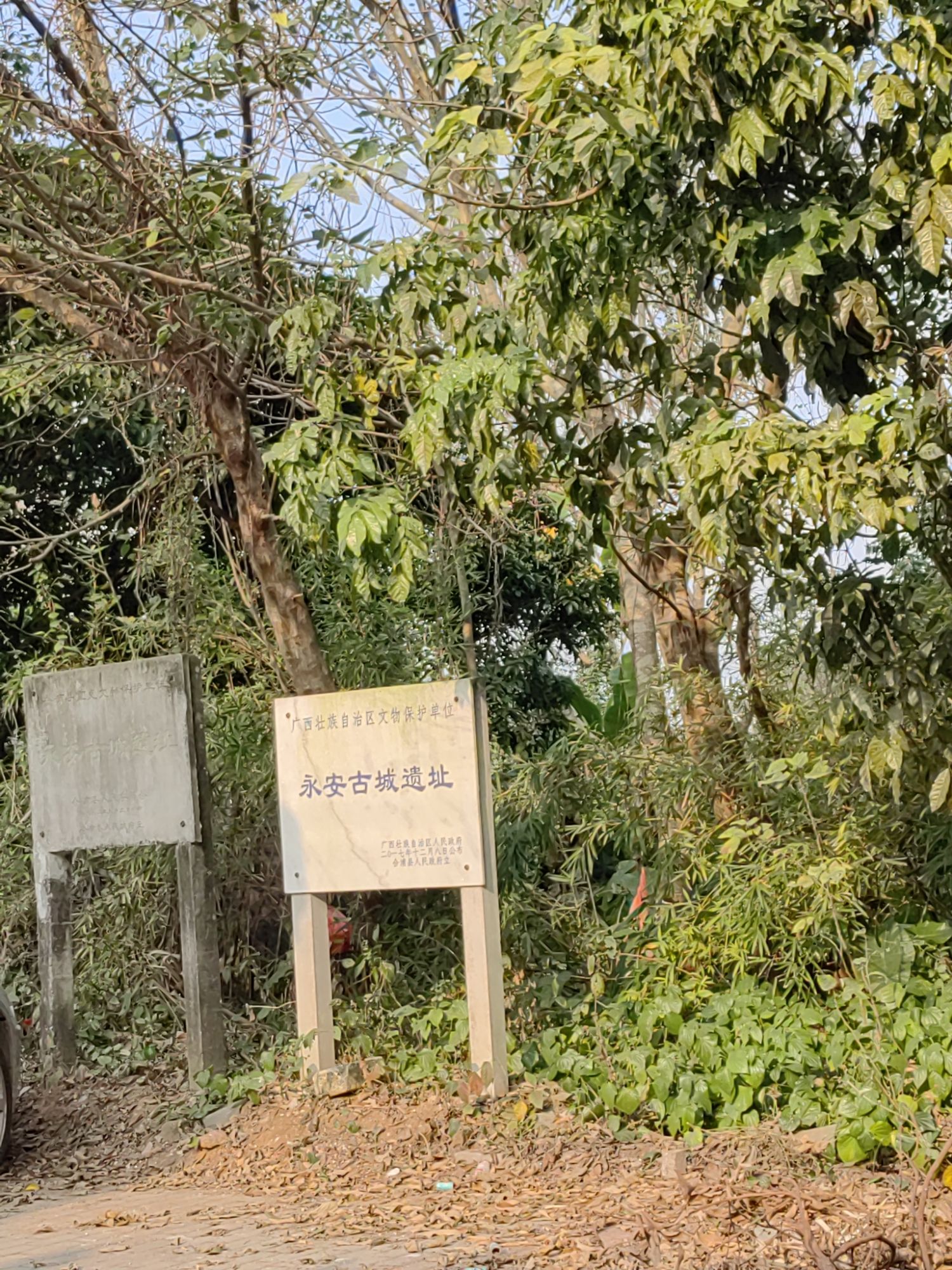永安村旅行图片 3