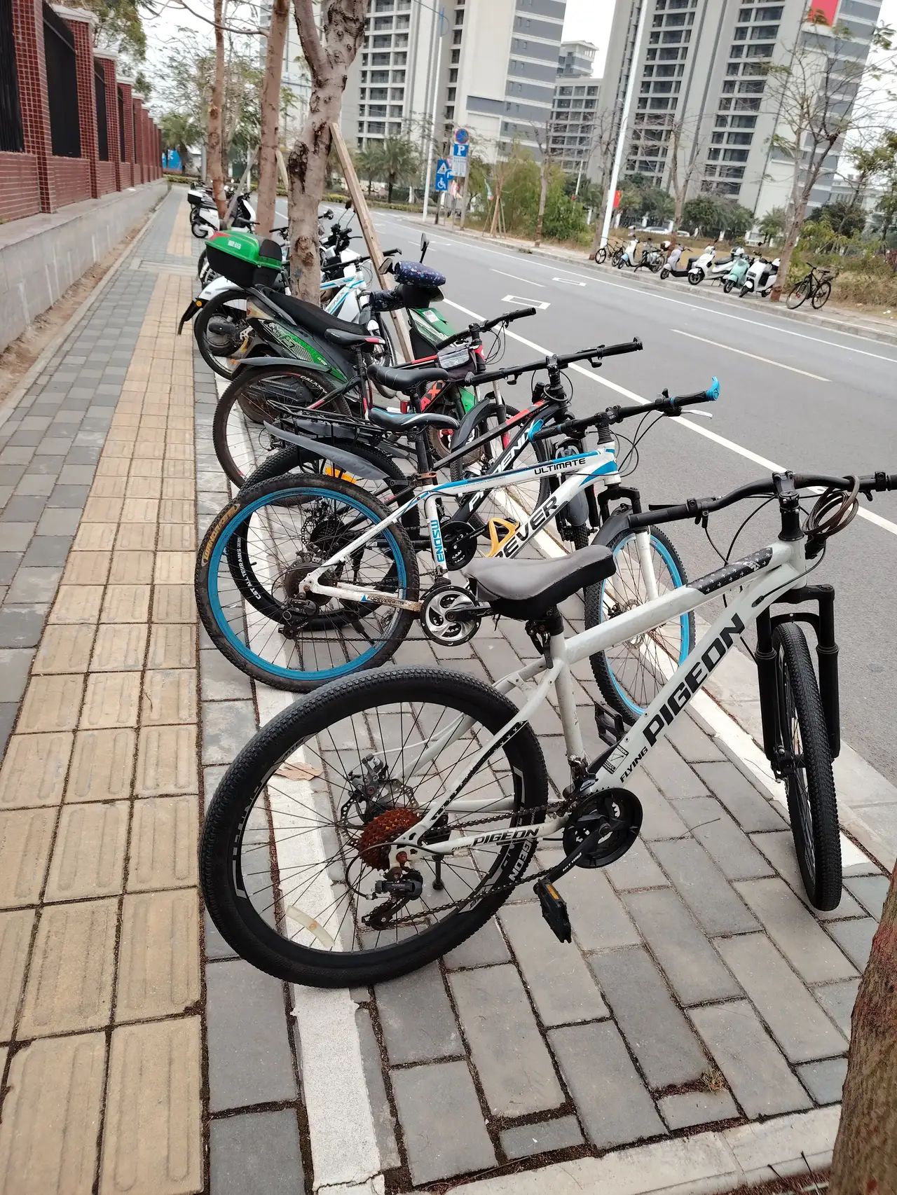 北海市大江埠旅游风景区旅行图片 2