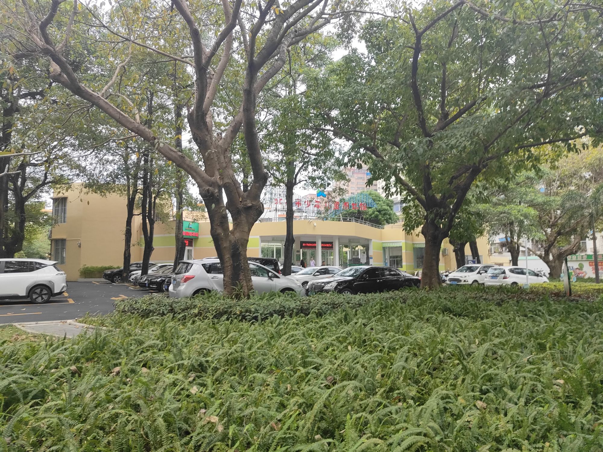 北海市少年儿童图书馆