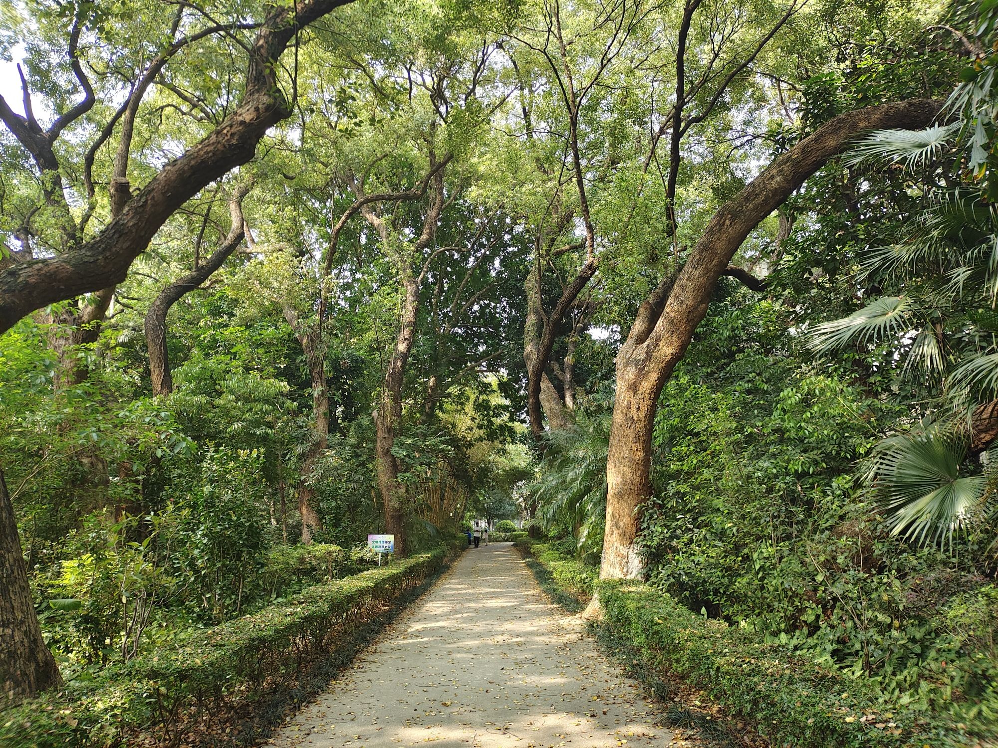 北海市东区公园旅行图片 1