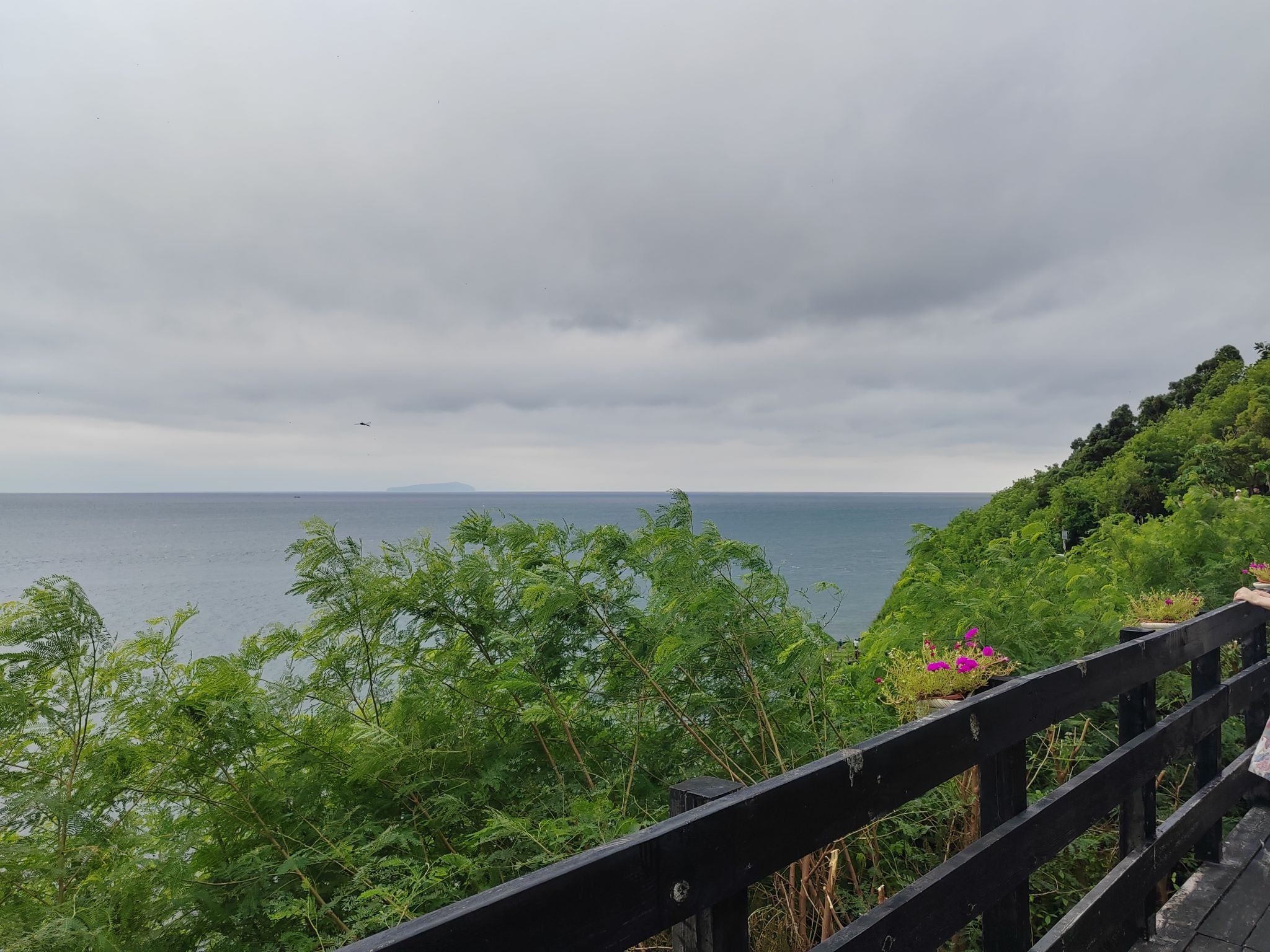 涠洲岛旅行图片 3