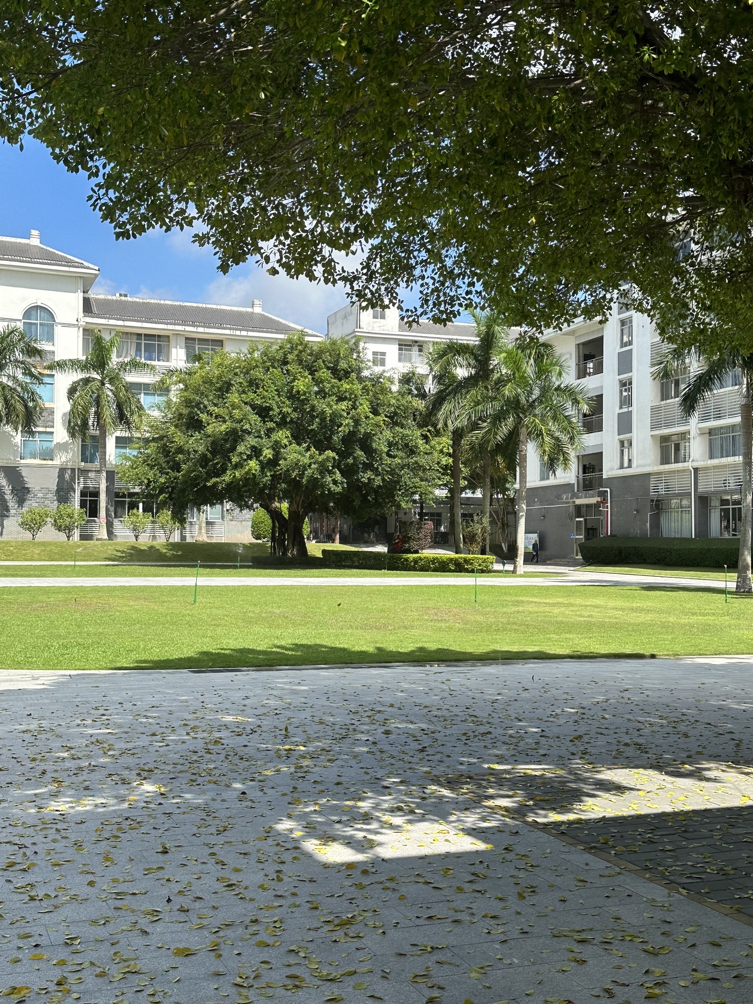 北海市海城区民附学校