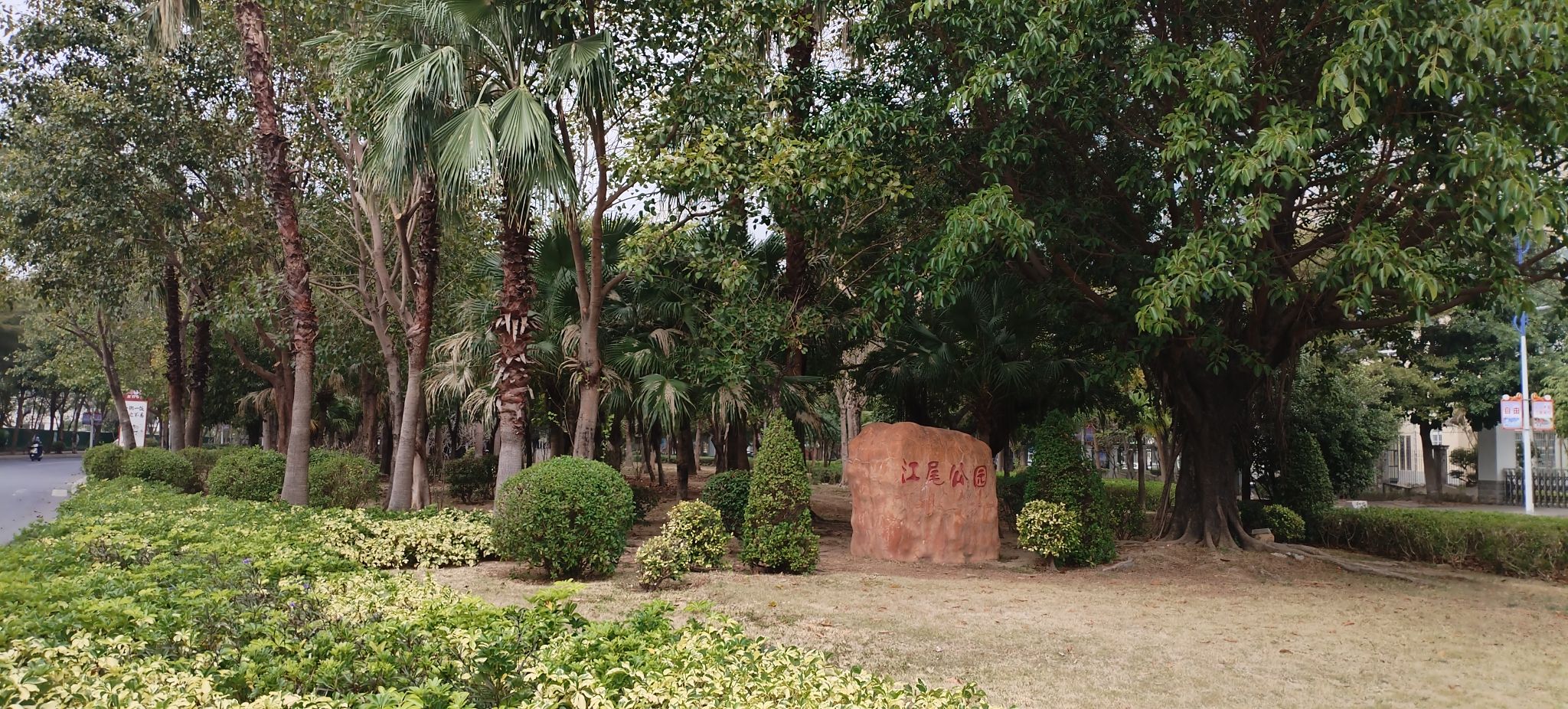江尾公园旅行图片 2