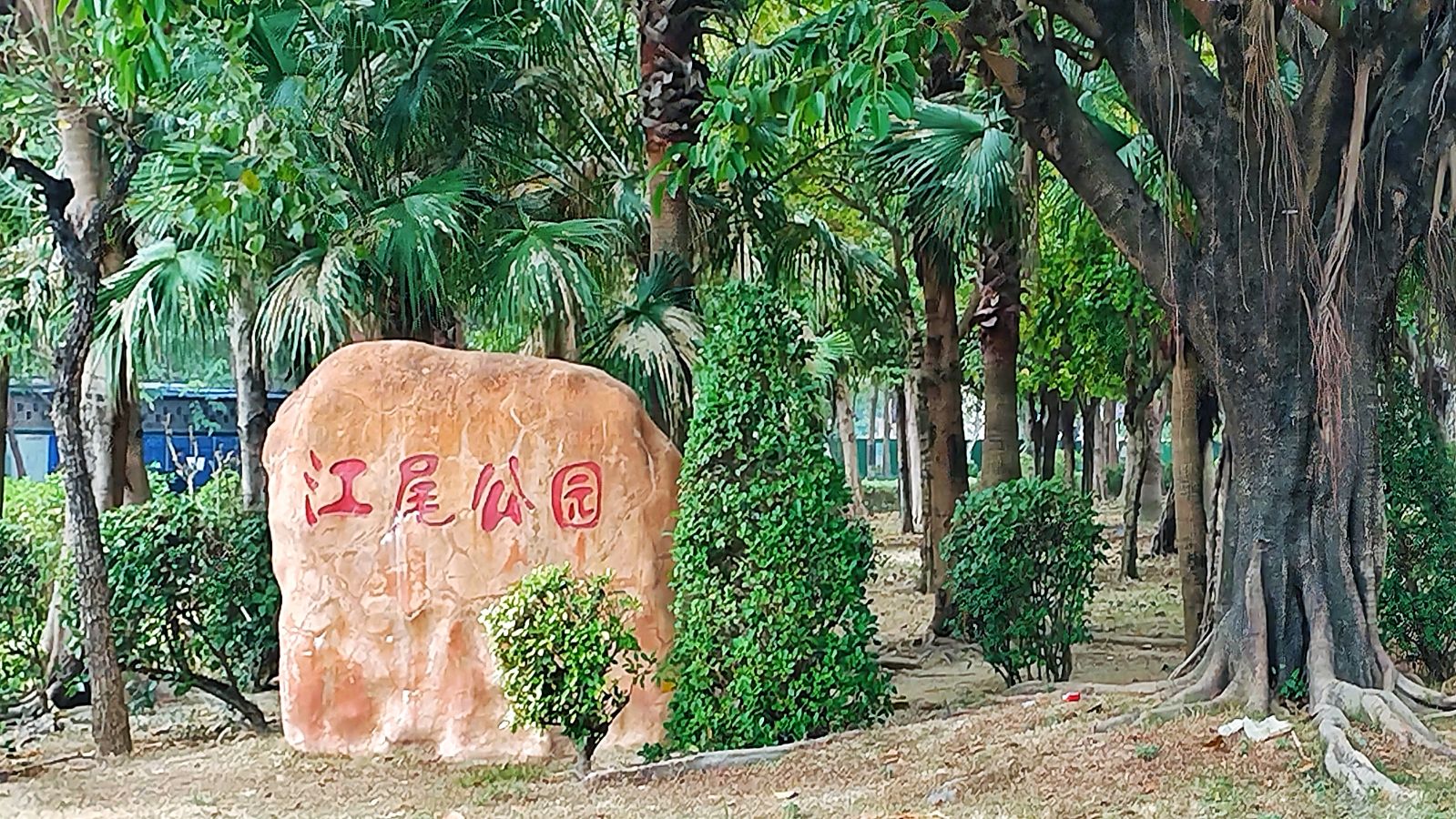 江尾公园旅行图片 1