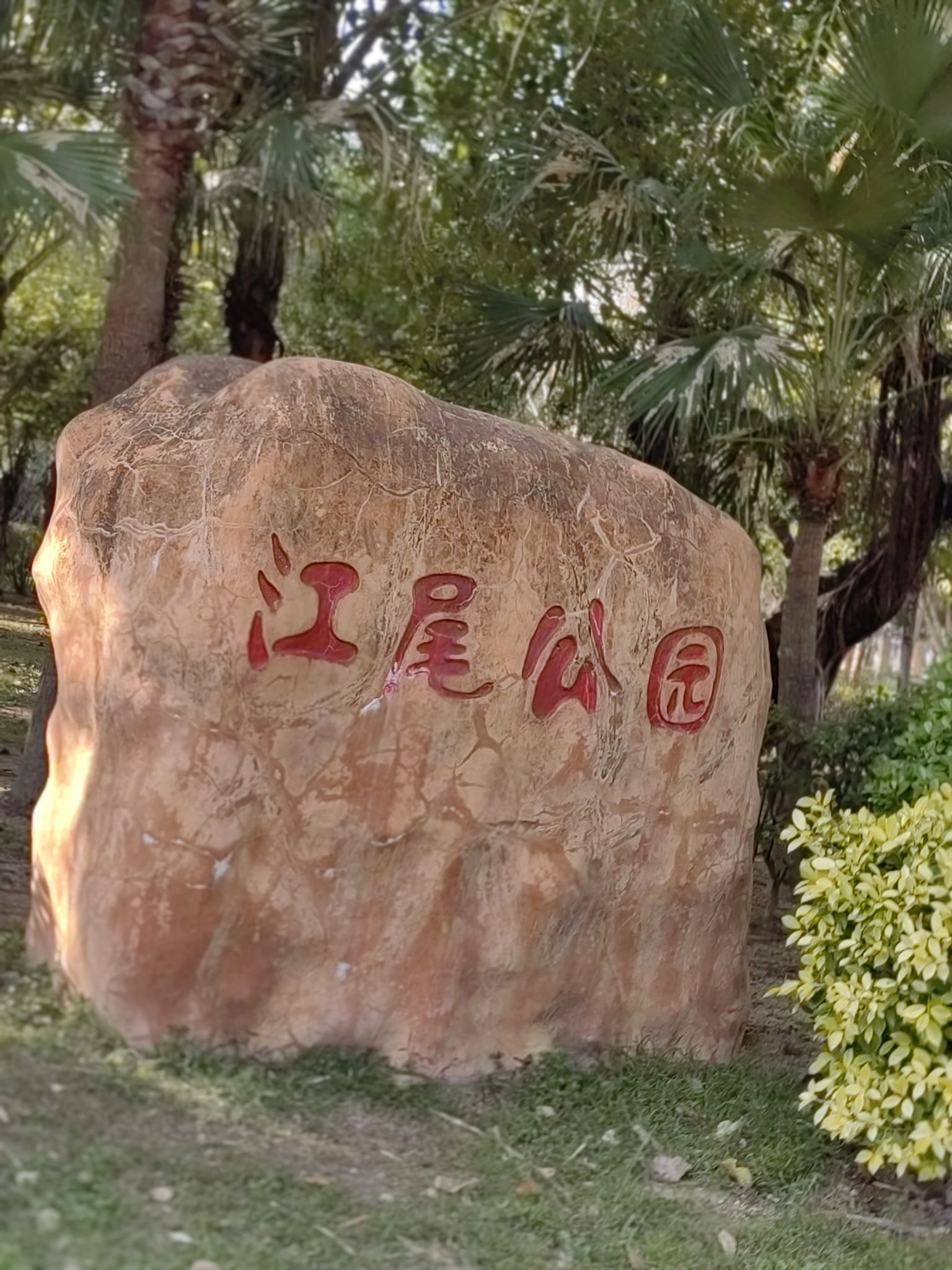 江尾公园旅行图片 1