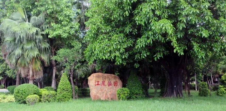 江尾公园旅行图片 2