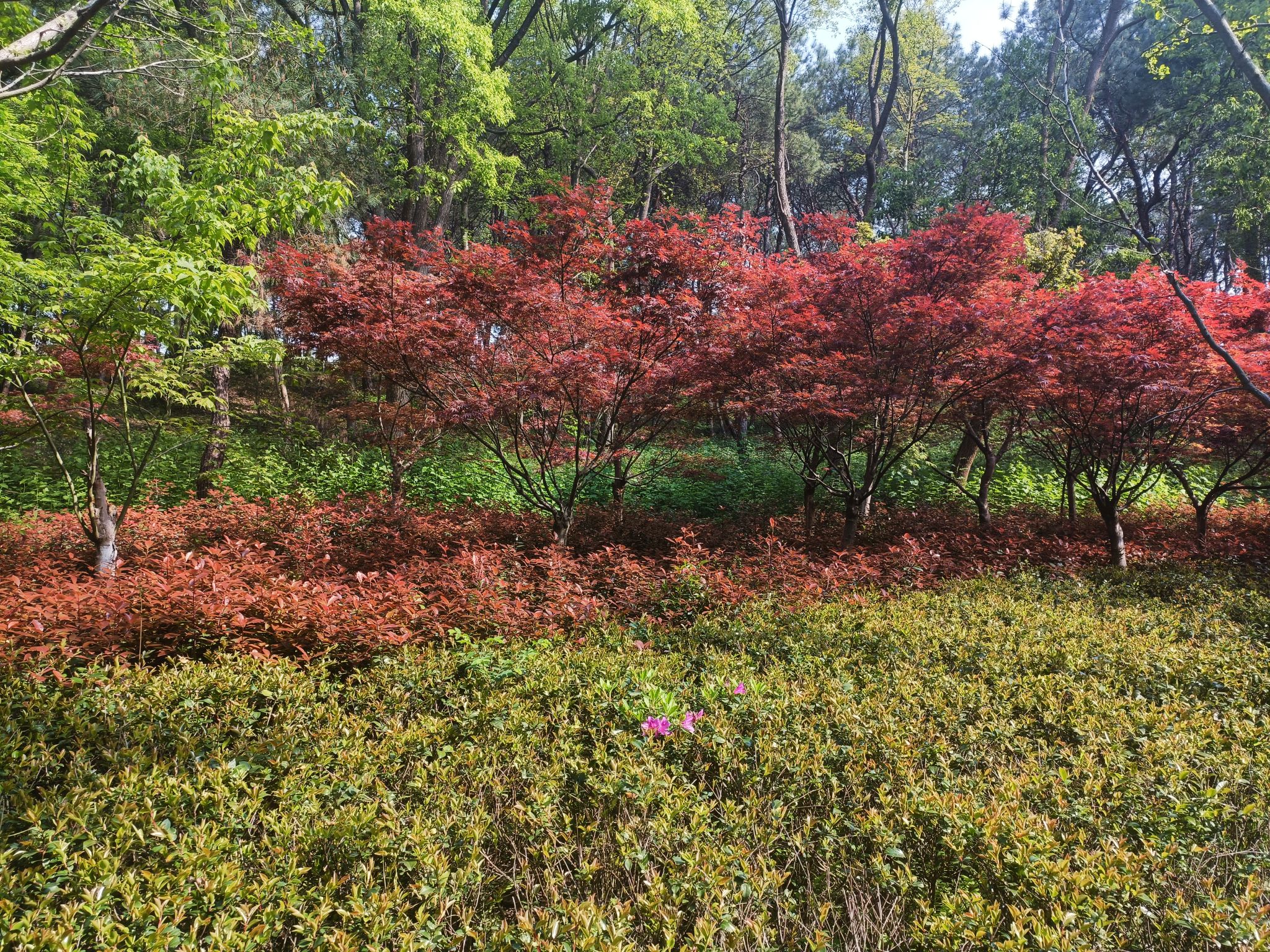 钤山公园(健康主题公园)