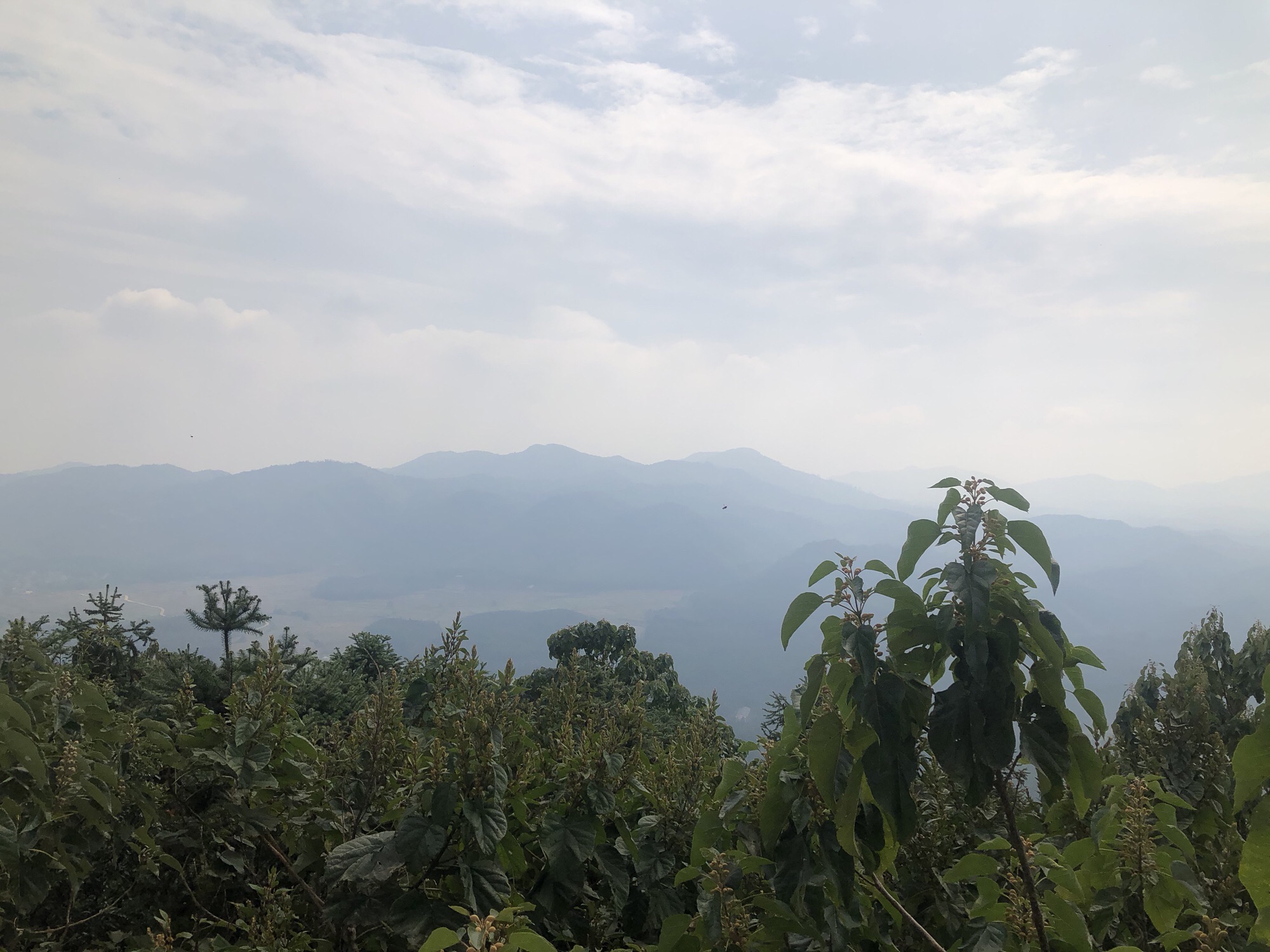 百丈峰旅行图片 2