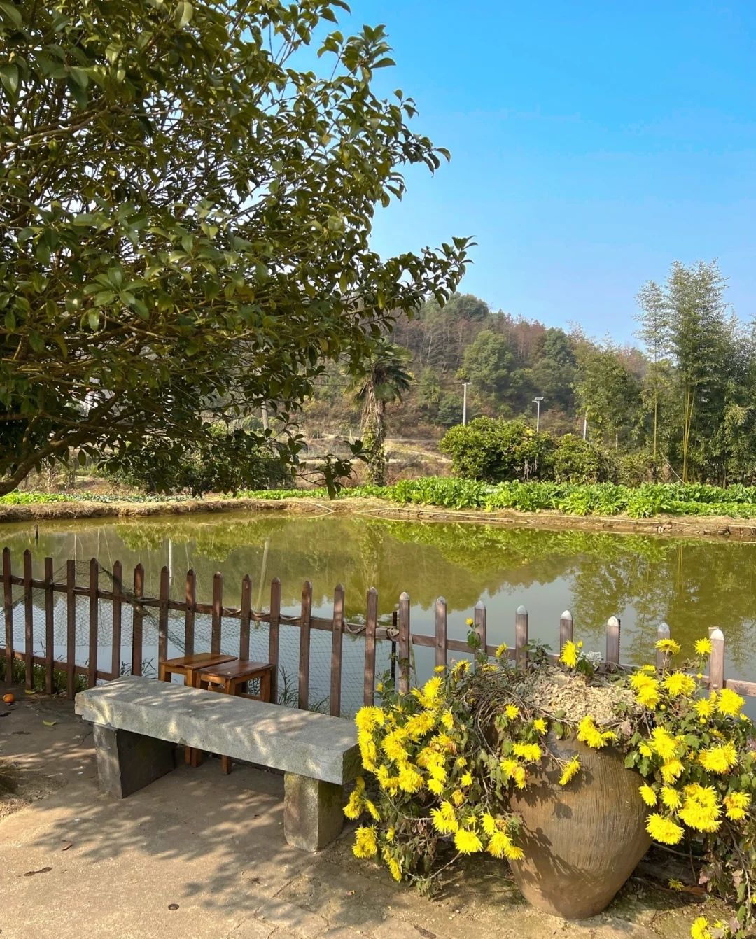 百丈峰旅行图片 1