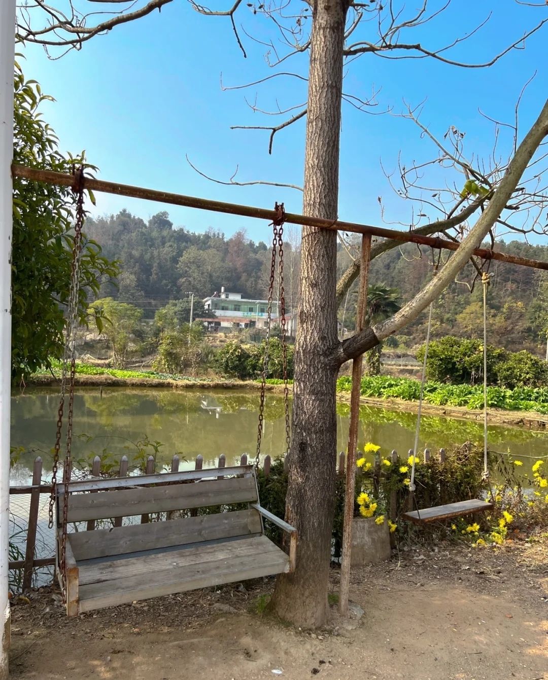 百丈峰旅行图片 2