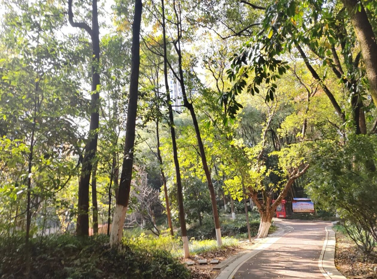 抱石公园旅行图片 2