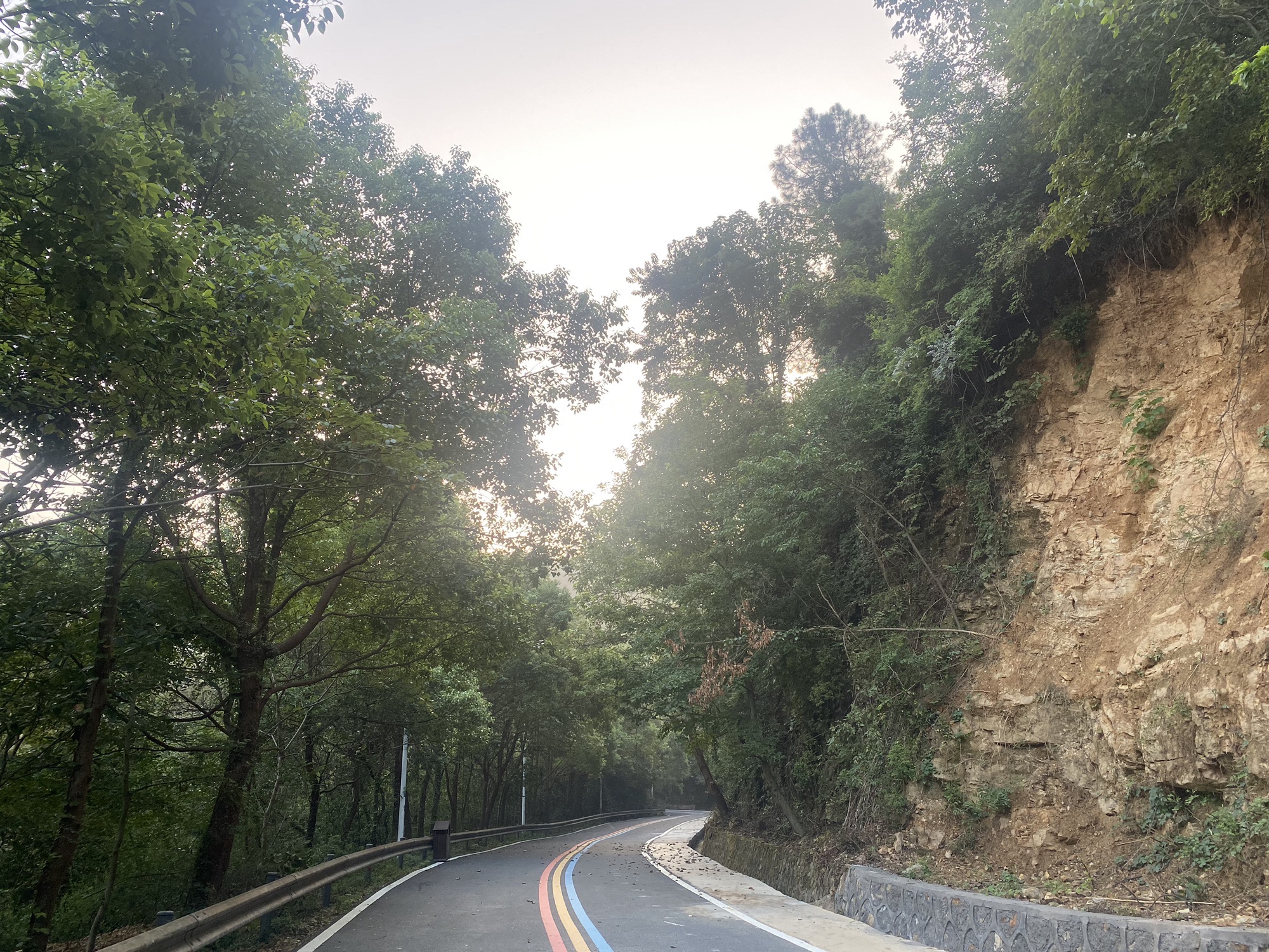 仰天岗森林公园旅行图片 2