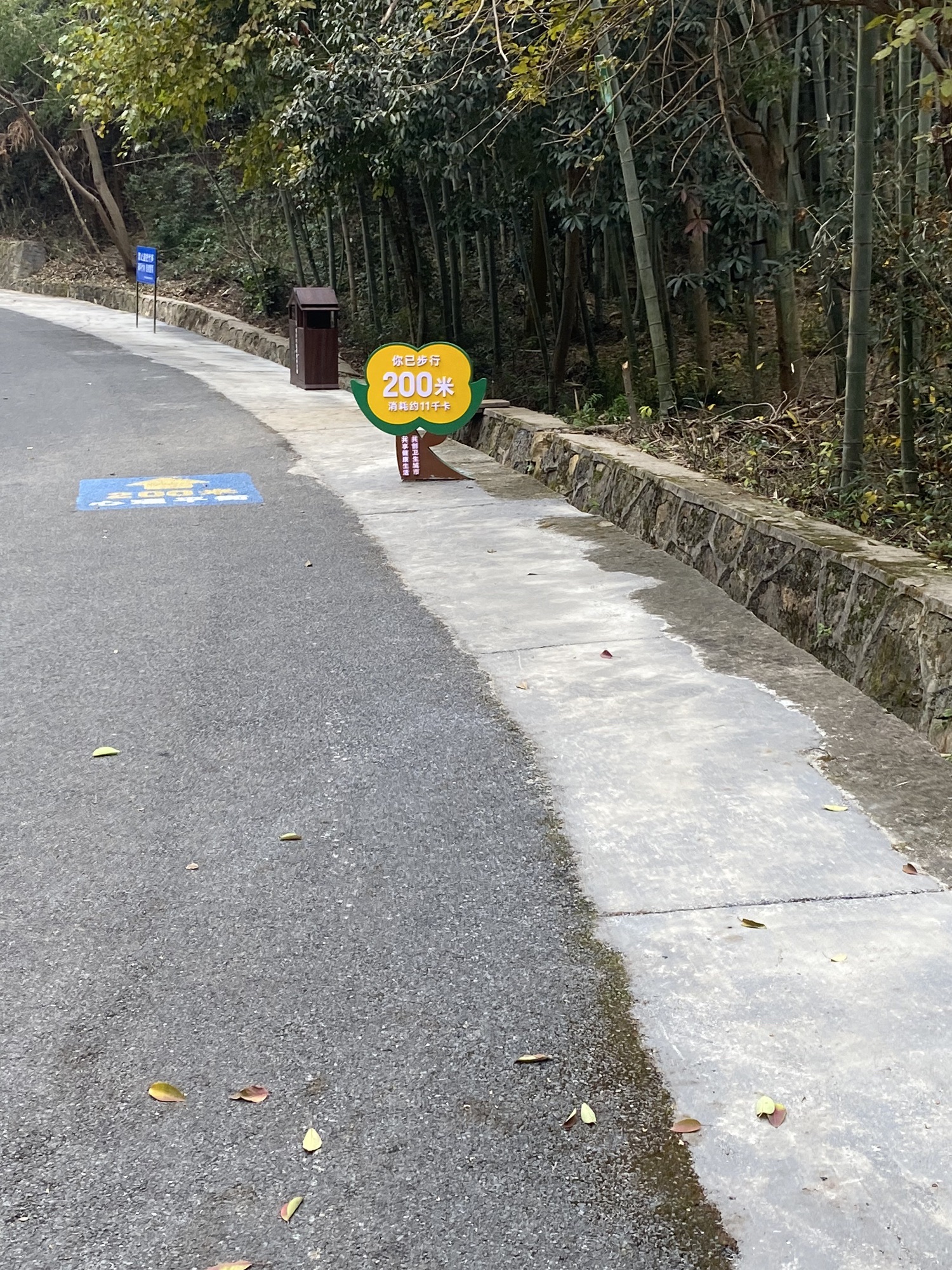 仰天岗森林公园旅行图片 2
