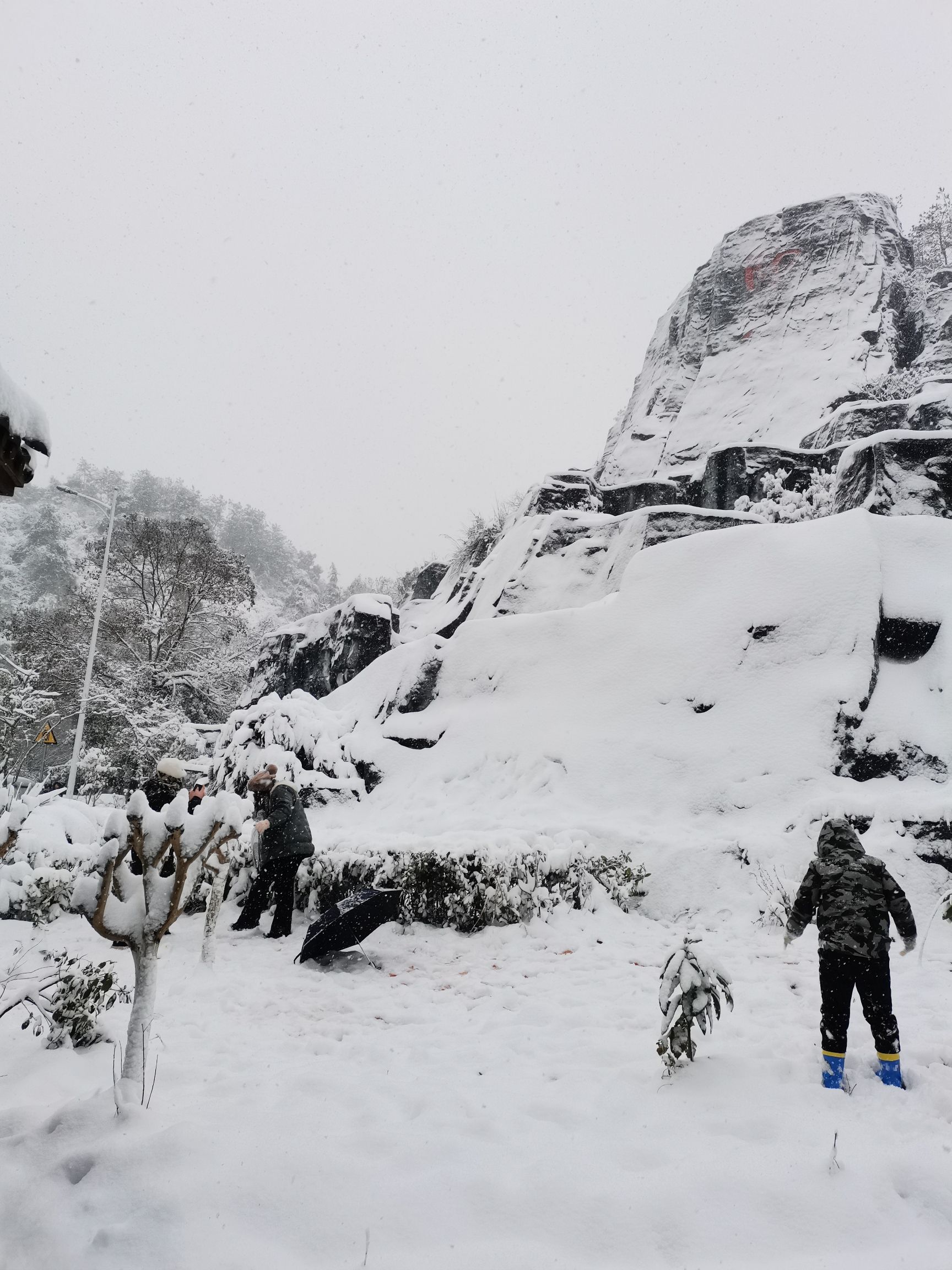 仰天岗森林公园旅行图片 1