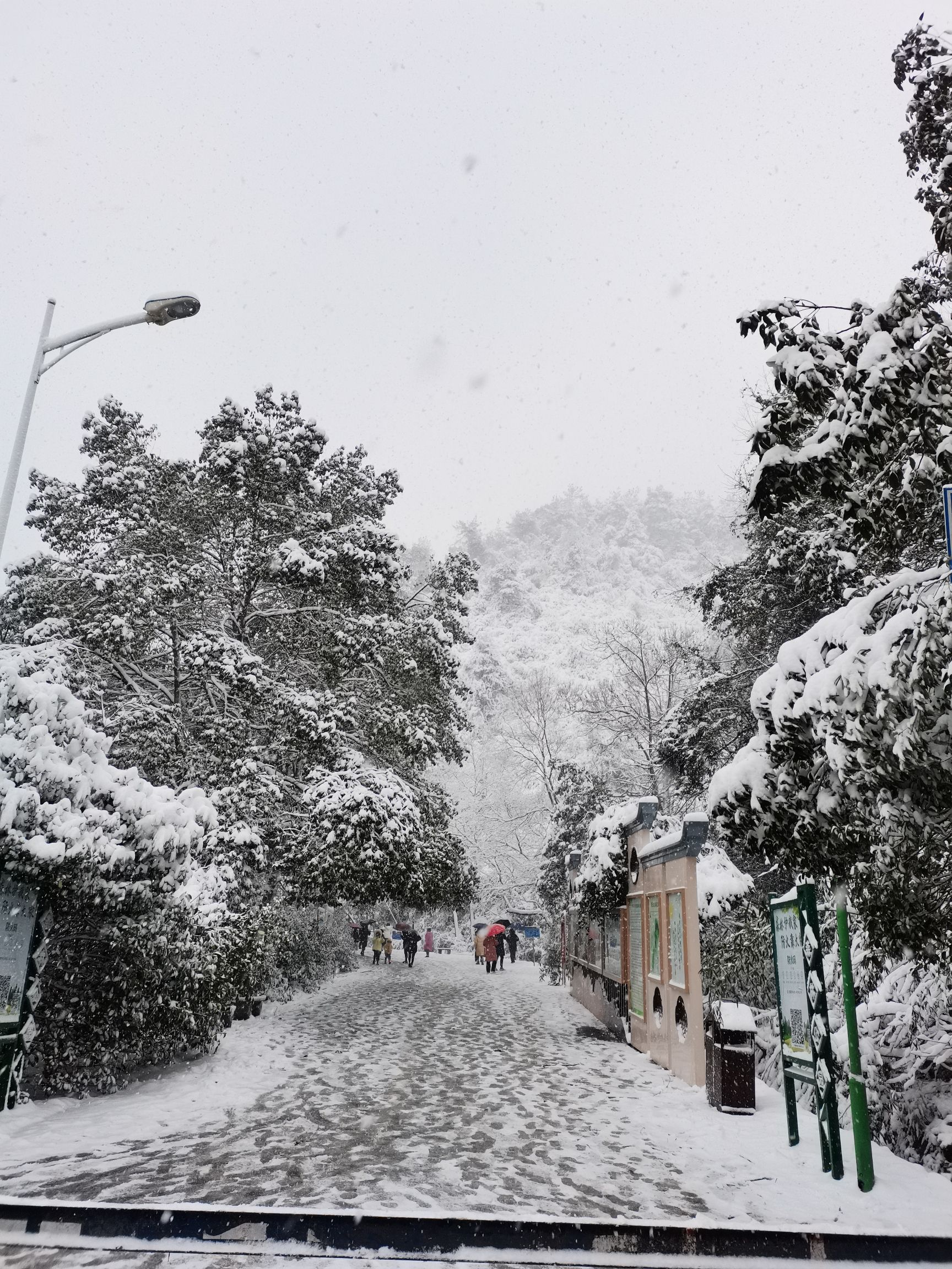 仰天岗森林公园旅行图片 2