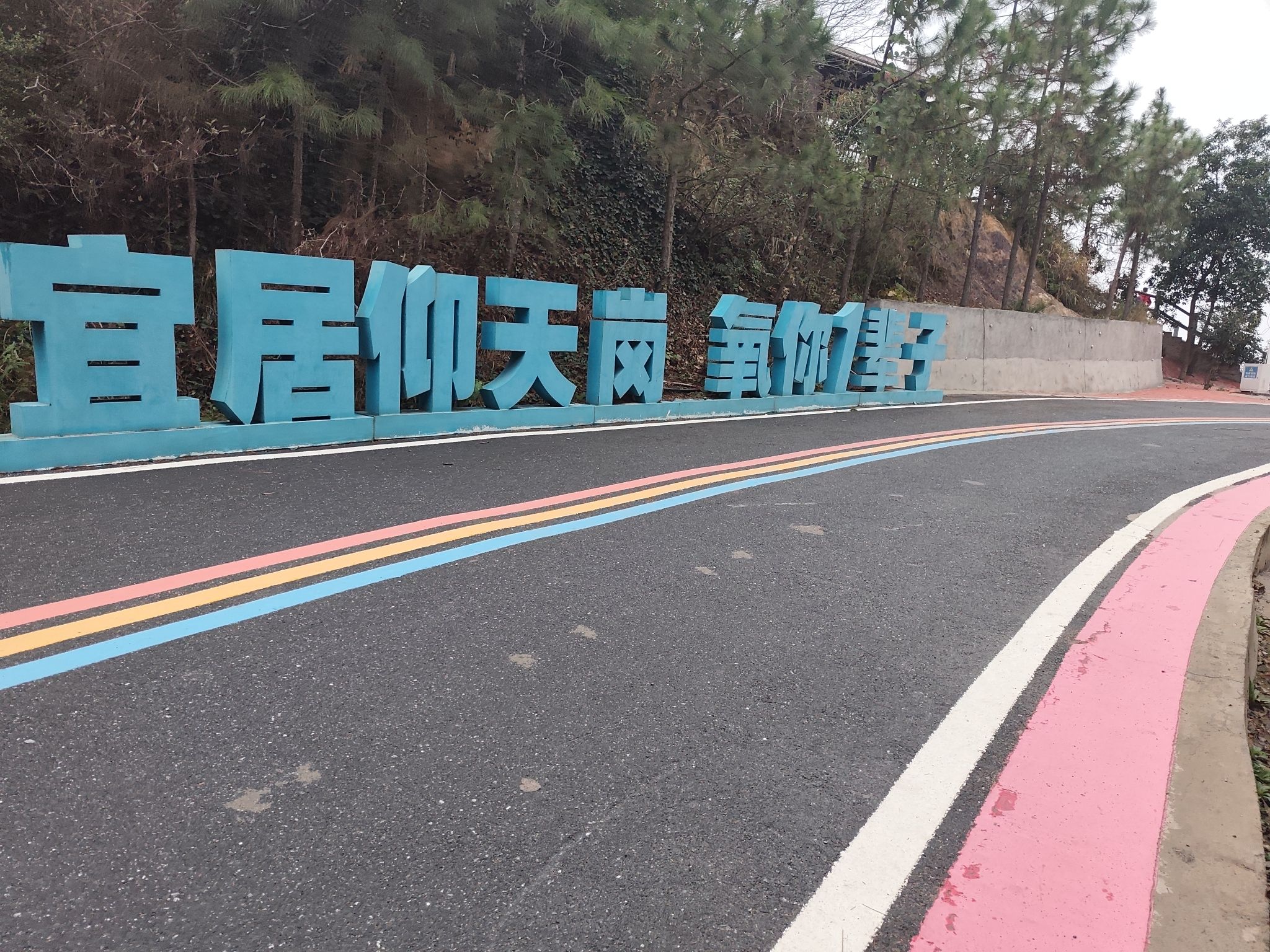 仰天岗森林公园旅行图片 2