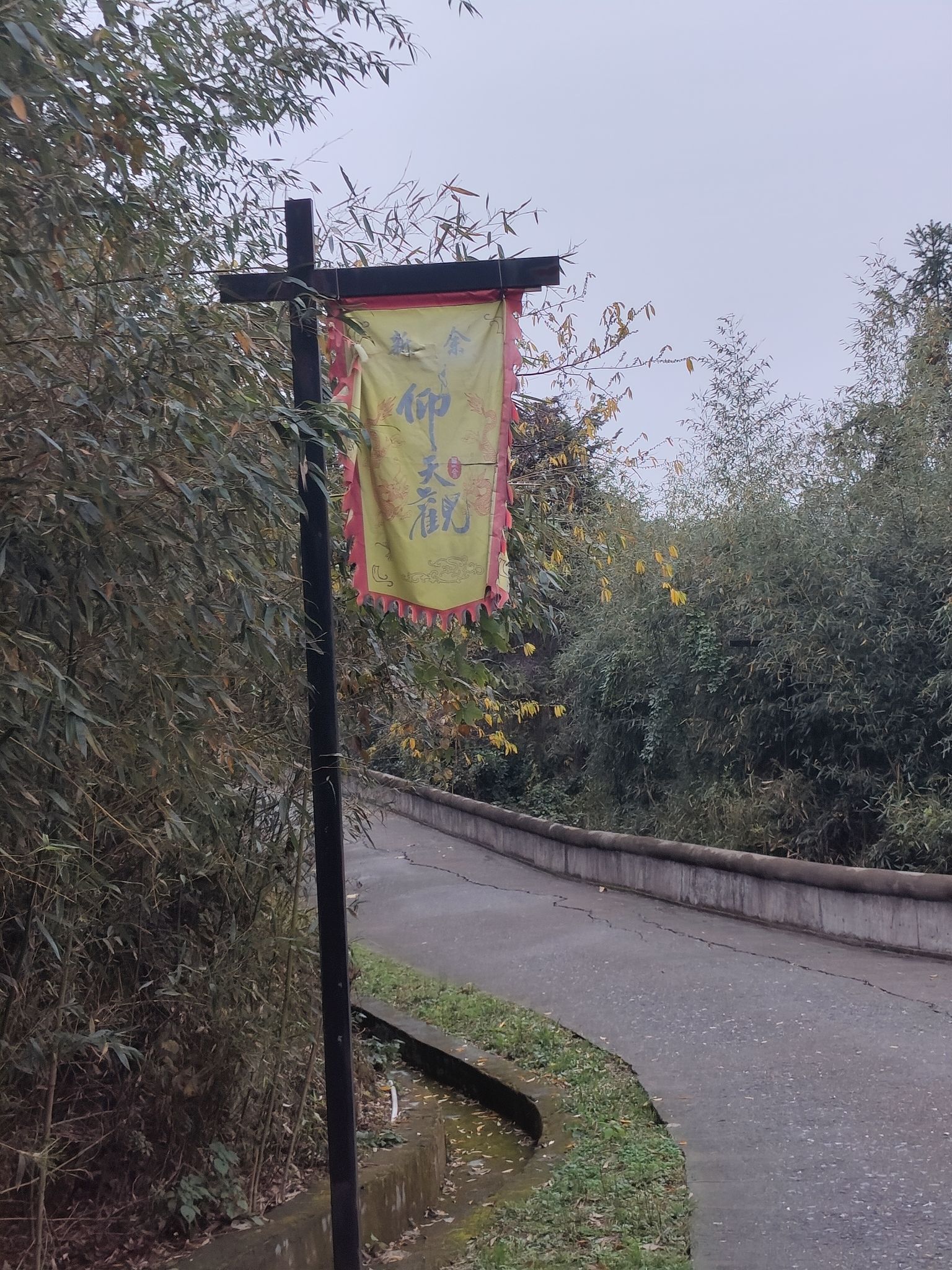 仰天岗森林公园旅行图片 3