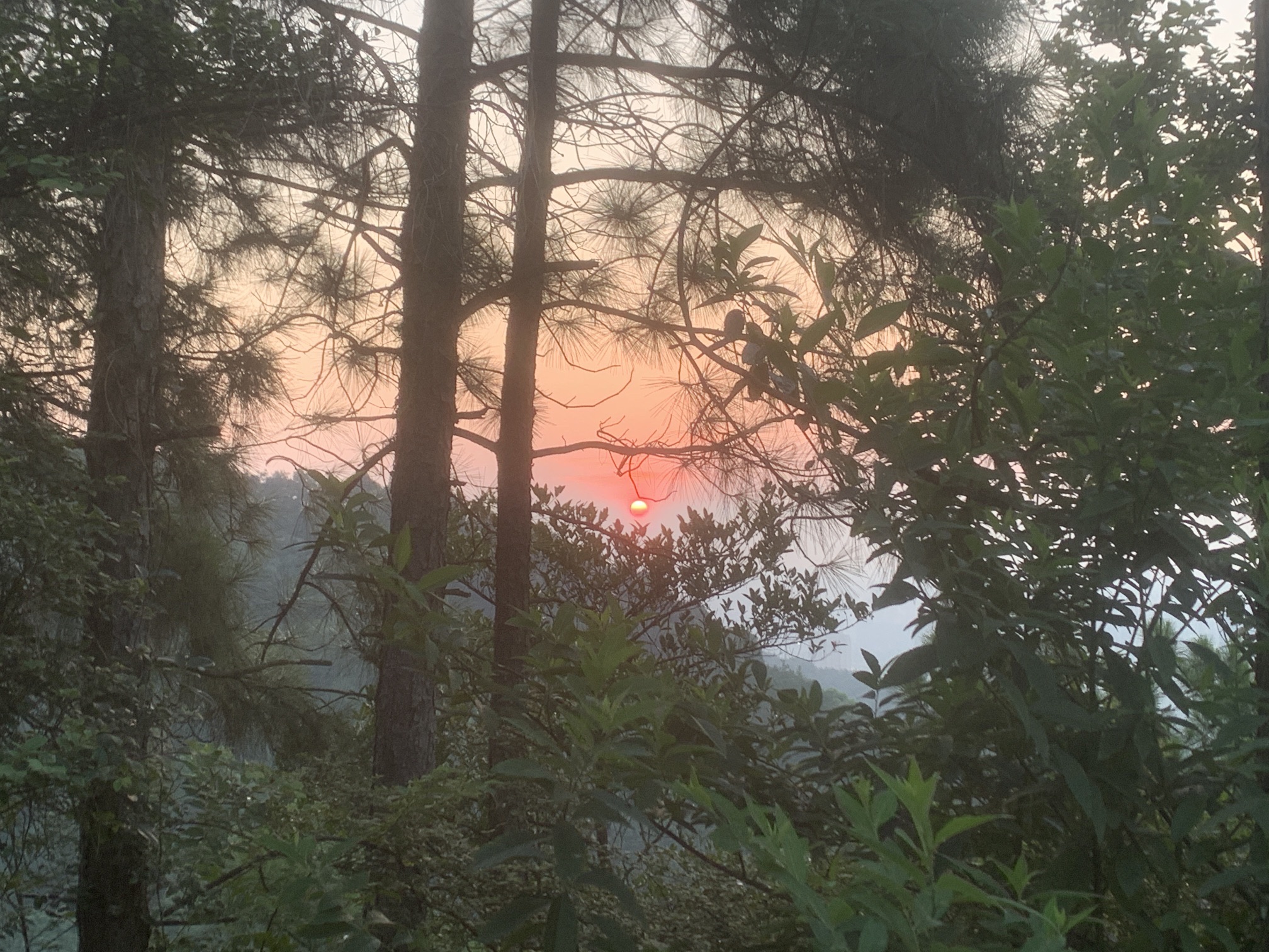 江西新余仰天岗纪念广场旅行图片 3