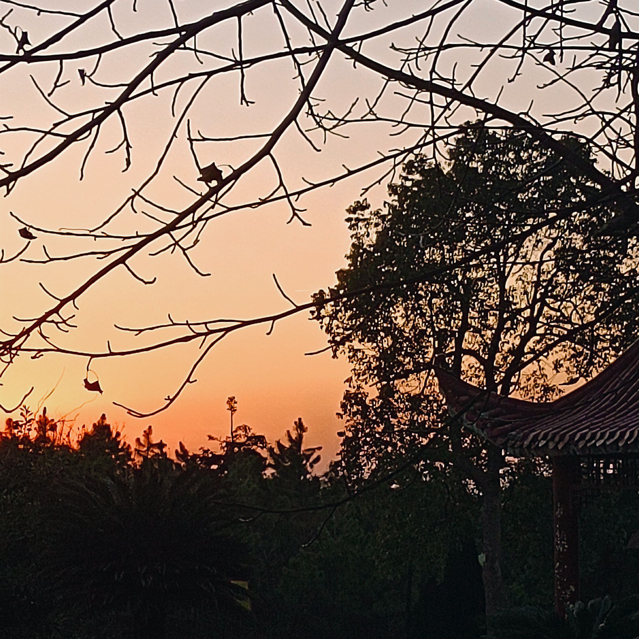 江西新余仰天岗纪念广场旅行图片 1