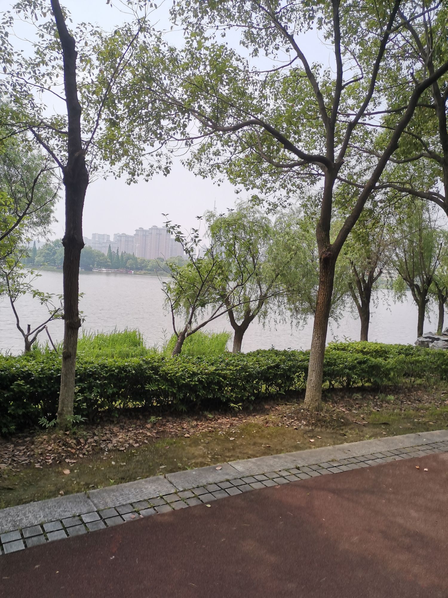 孔目江国家湿地公园旅行图片 3