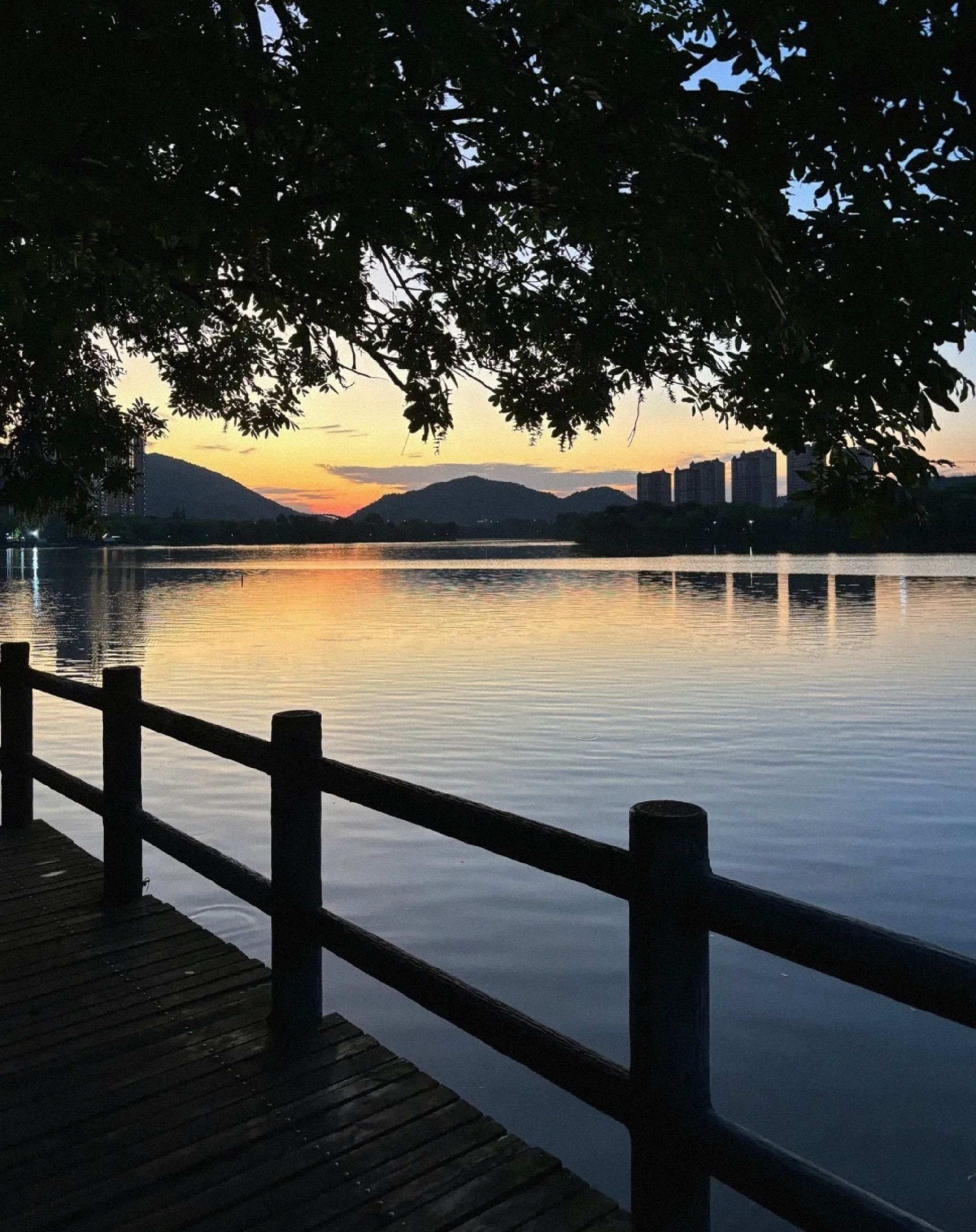 孔目江国家湿地公园旅行图片 1
