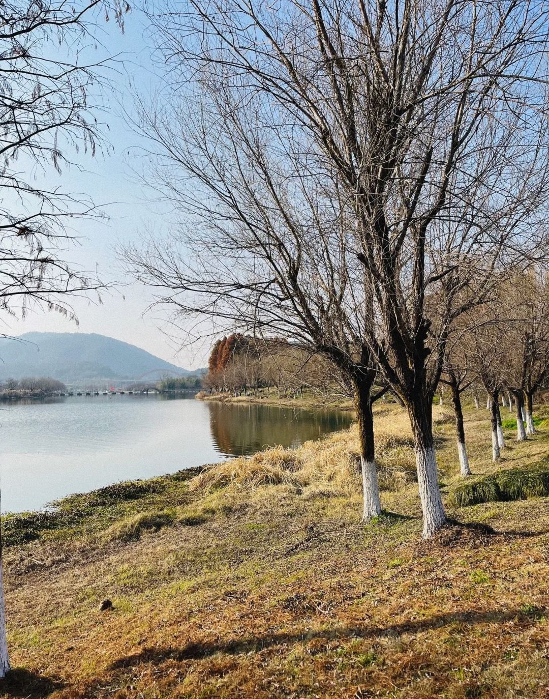 孔目江国家湿地公园旅行图片 3