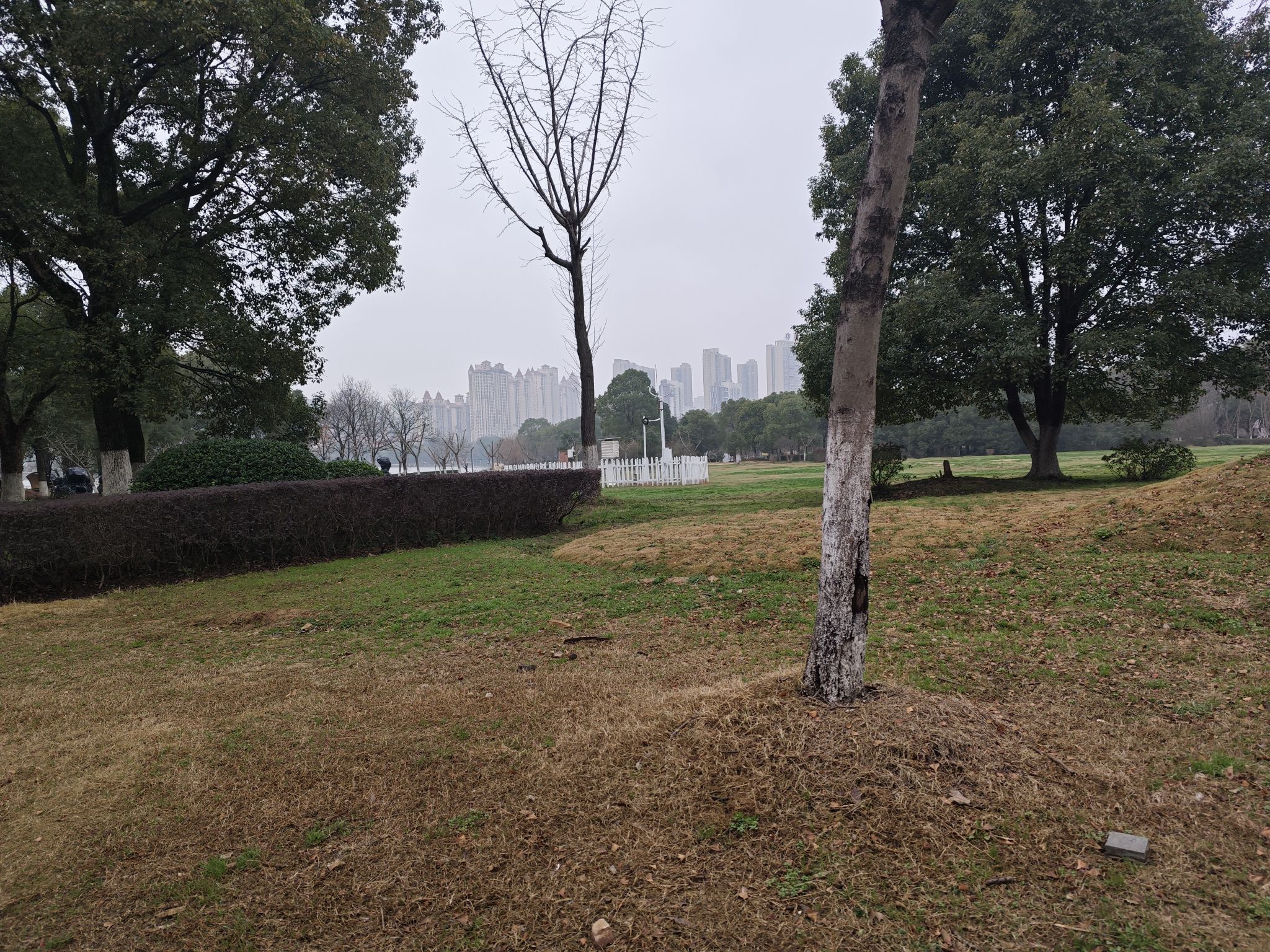 孔目江国家湿地公园旅行图片 3
