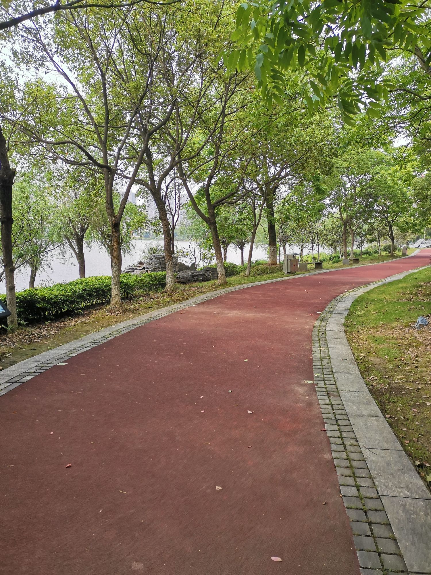 孔目江国家湿地公园旅行图片 2