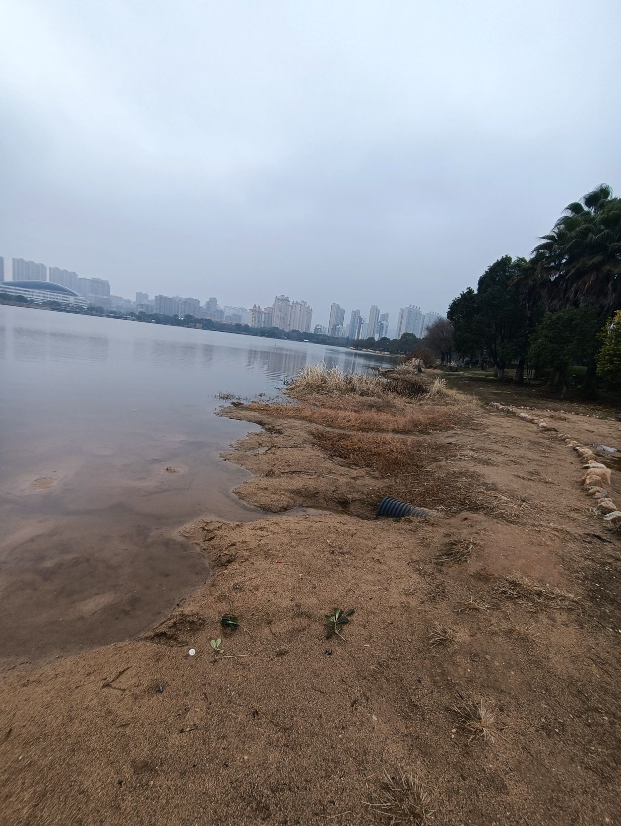 孔目江国家湿地公园旅行图片 3