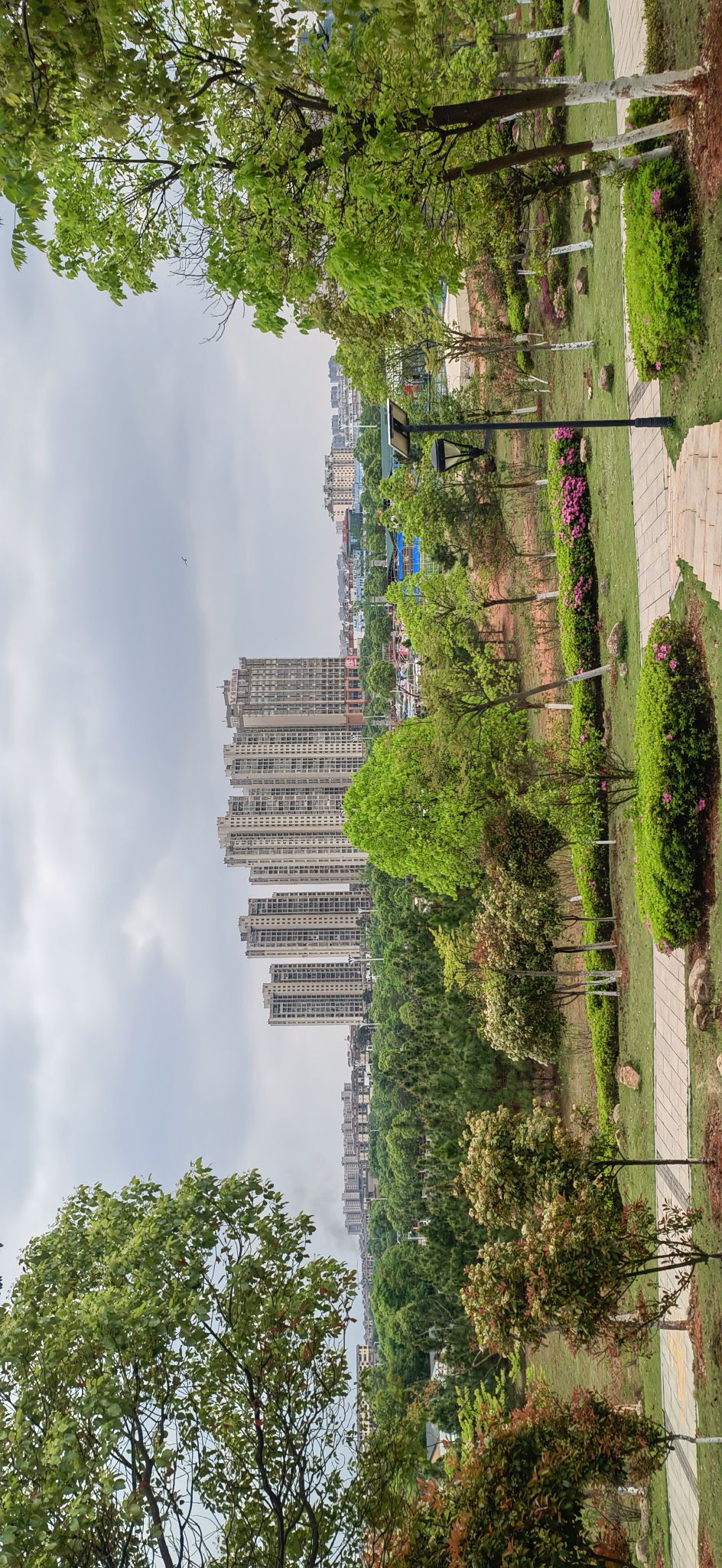 高新森林公园旅行图片 2